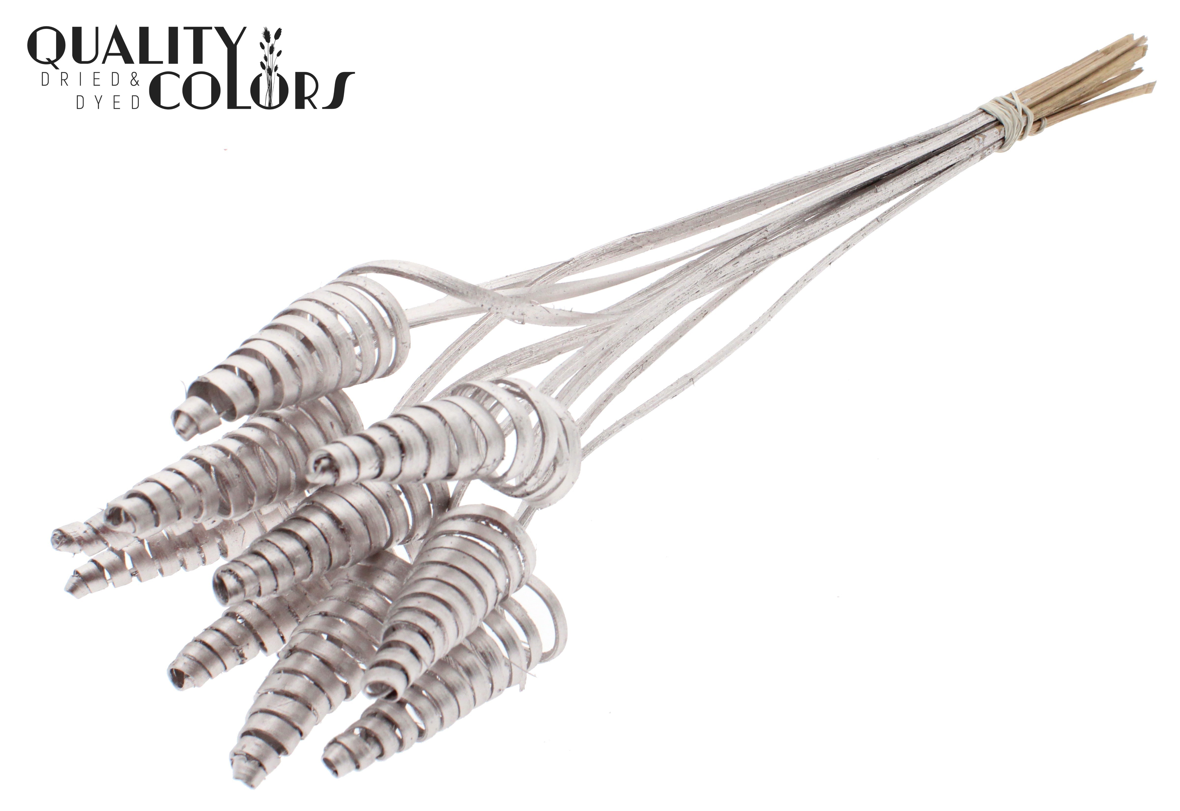 Cane Cone Champagne 50cm