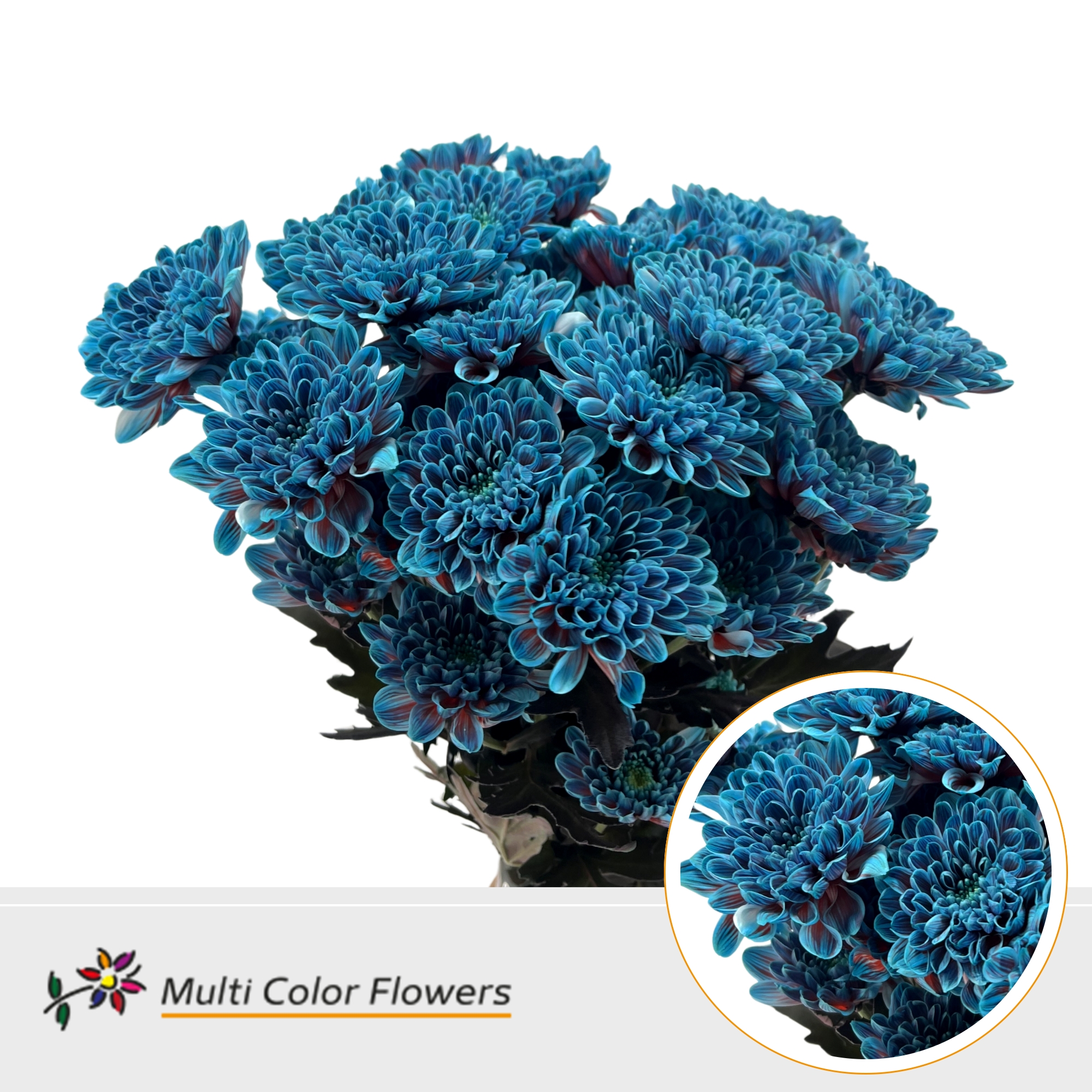 Chrysanth Spray Painted Altaj Terra Blue 60cm