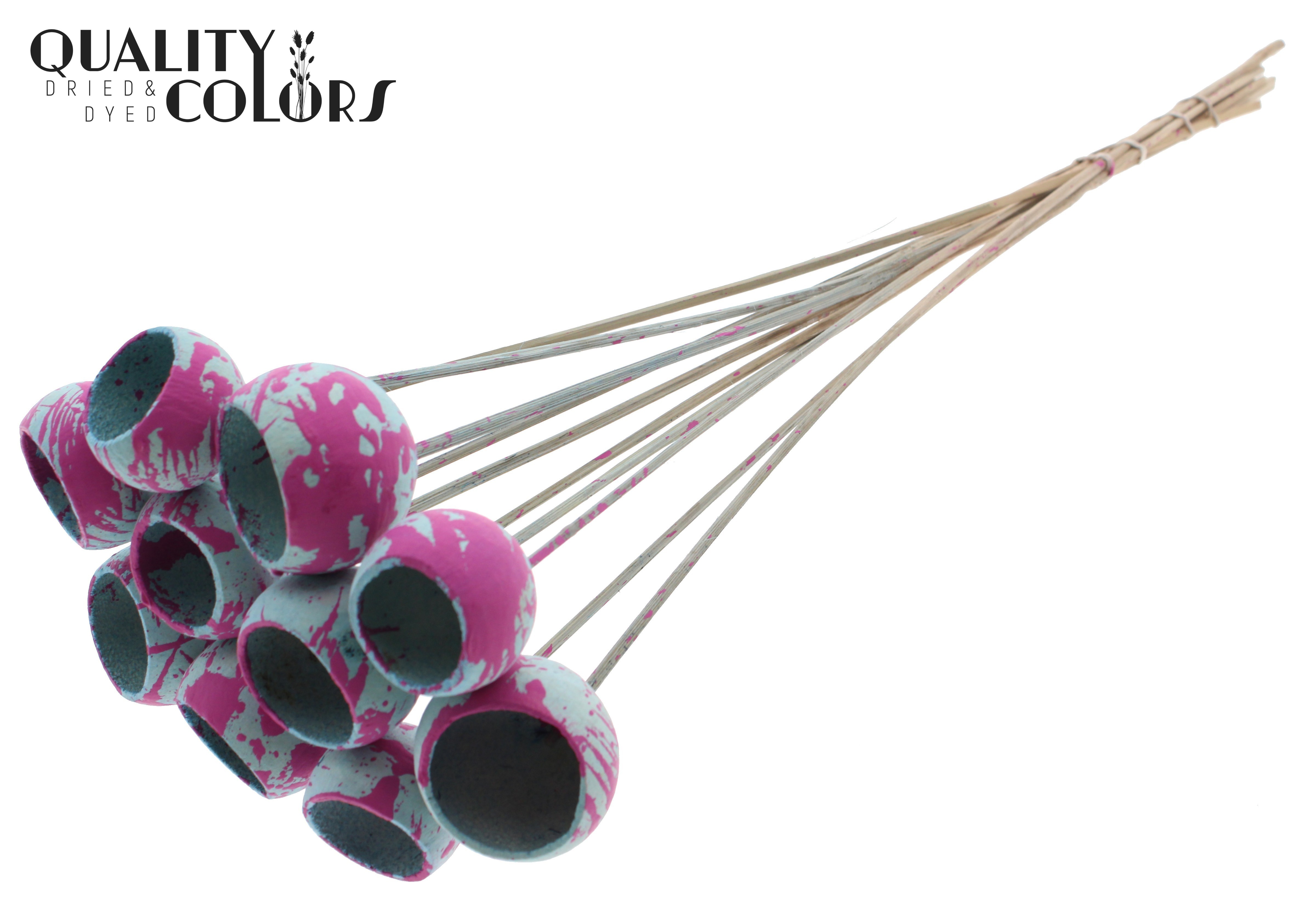 Bell Cup Splashed Light Blue Cerise 50cm