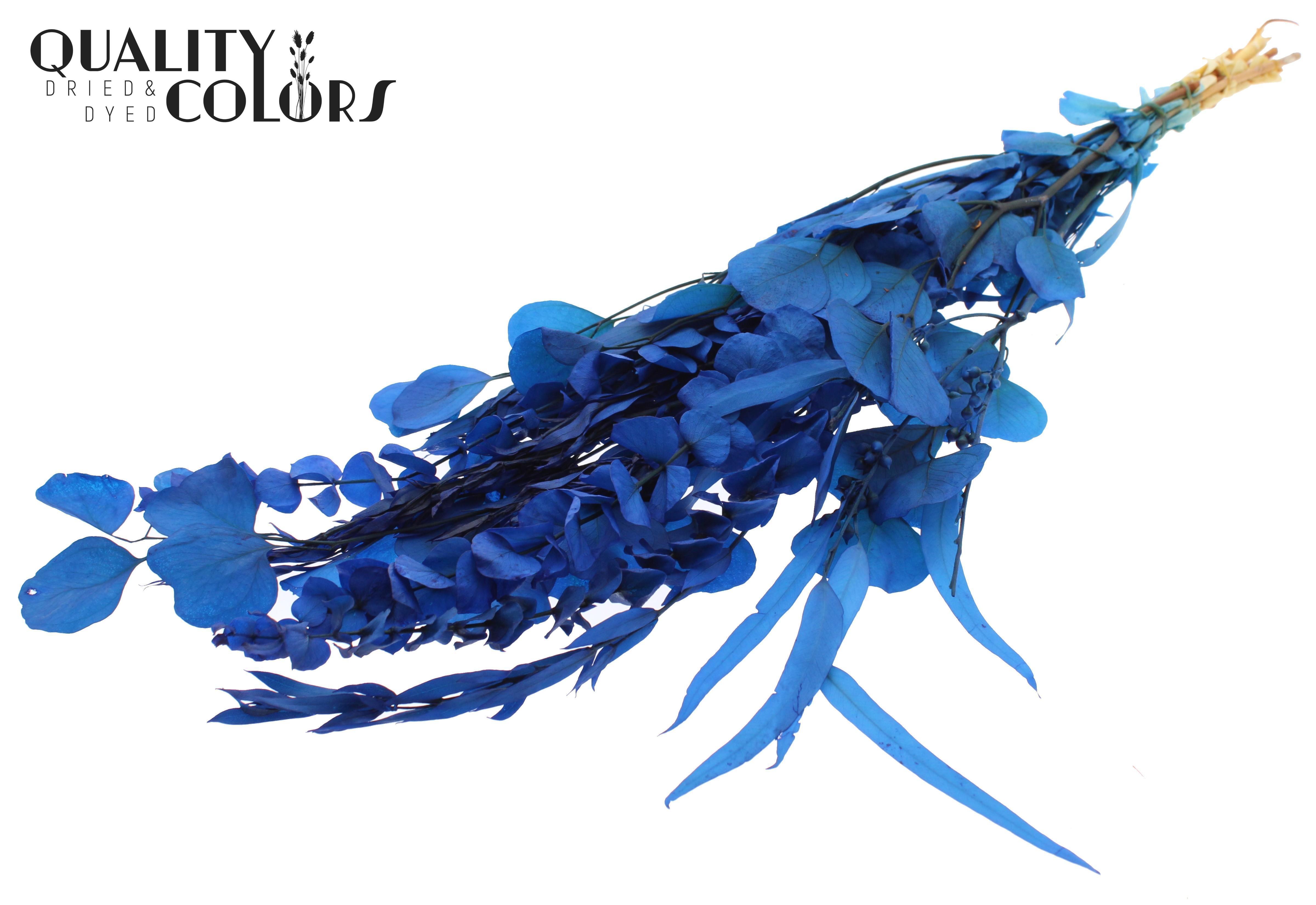 Eucalyptus Blue Mix Per Bunch 65cm 150gr.
