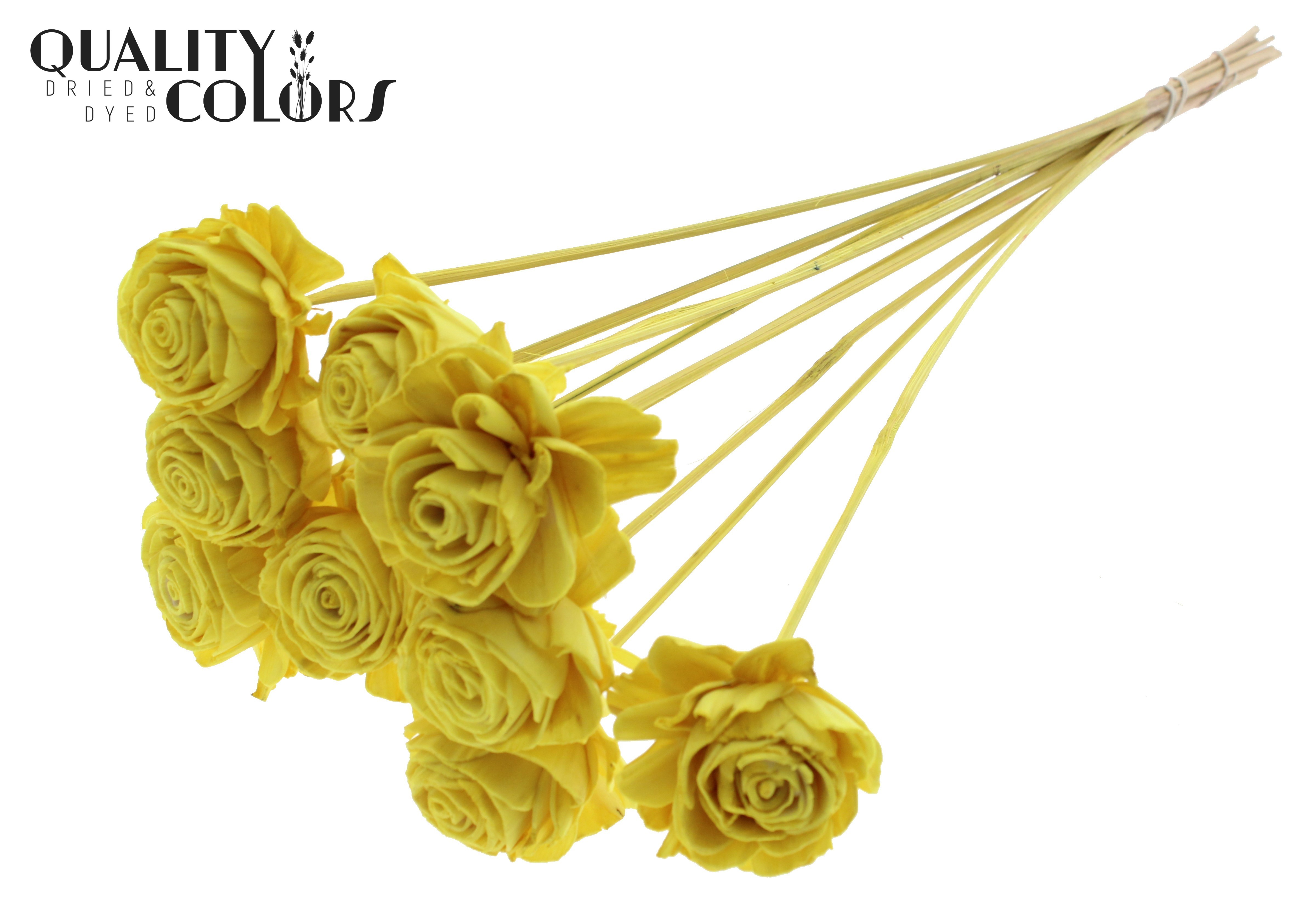 Shola Beauty Rose Yellow 50cm
