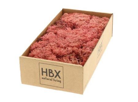 Moss Reindeer Moss 500gr Pink