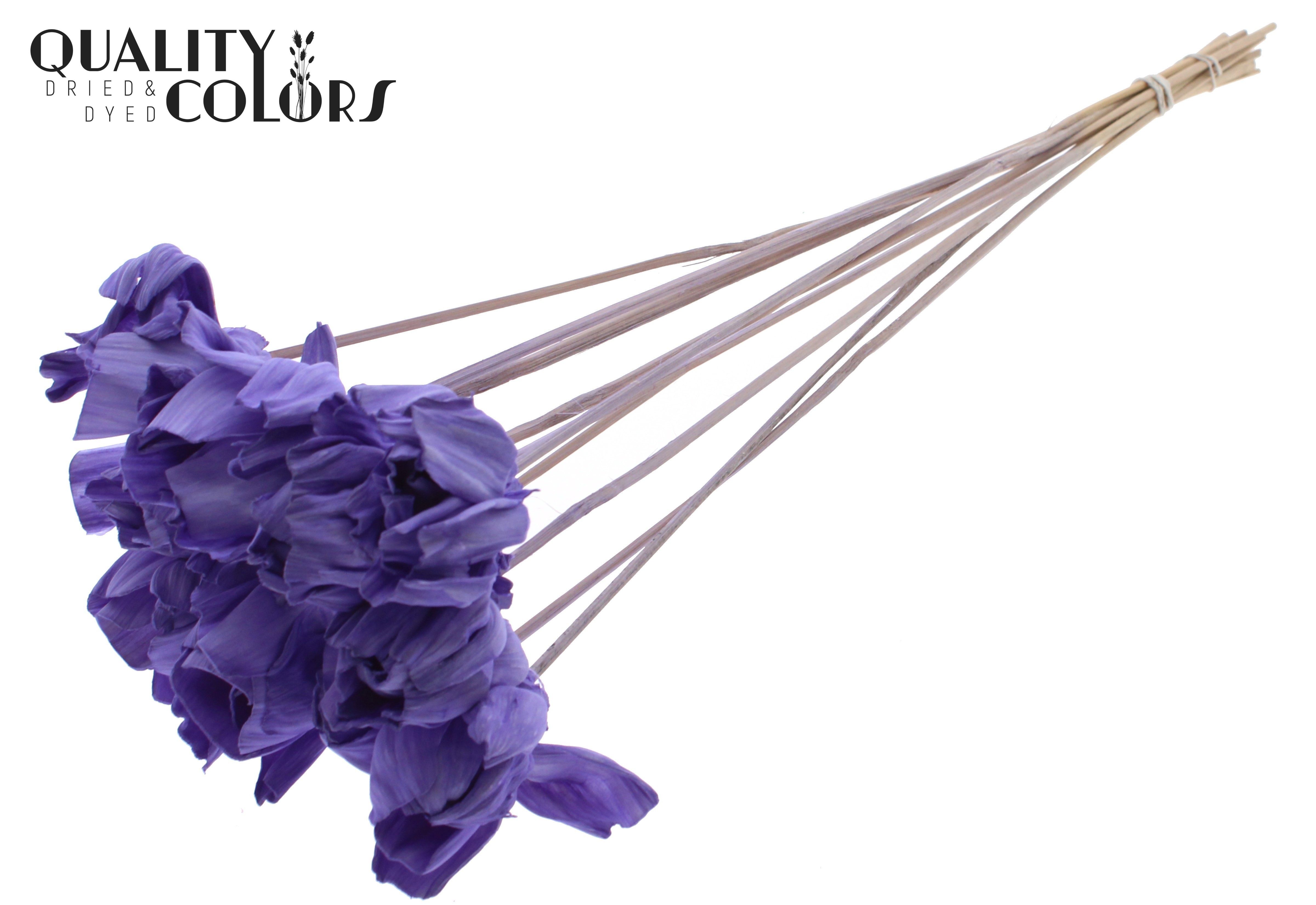 Shola Dear Holly Milka 50cm