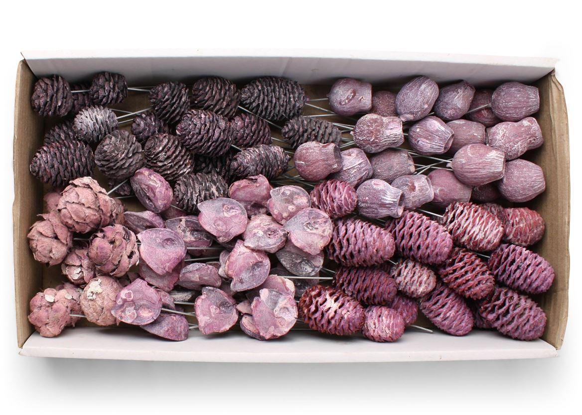 Lcd Assorti Frosted Brombeer On 10cm Wire