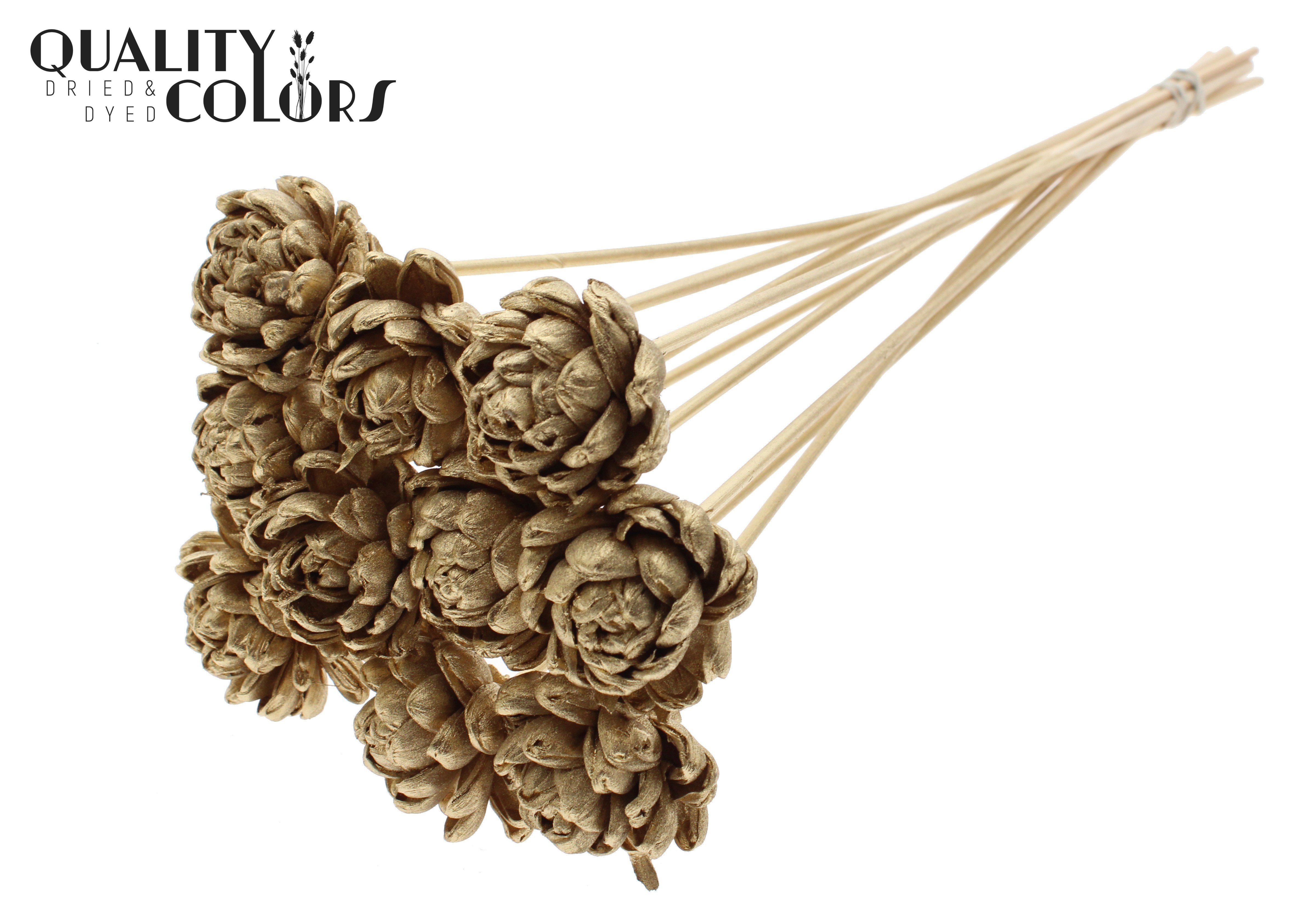 Shola Beauty Rose Antique Gold 50cm