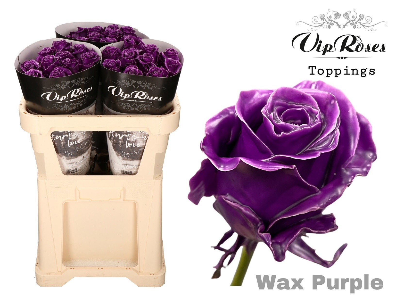 Rosa Waxed 70cm