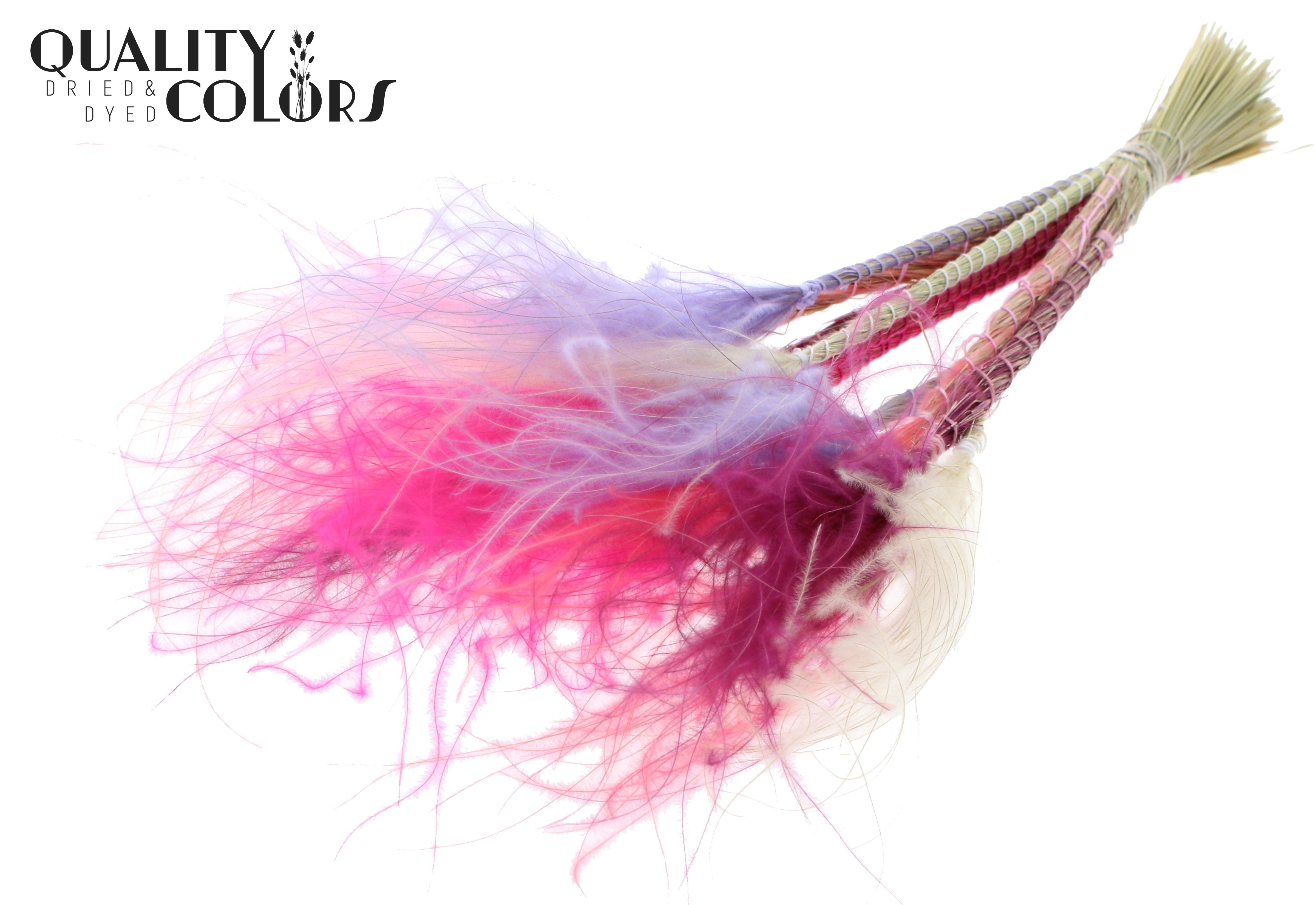 Stypha Colourful 9 Per Bunch 60cm