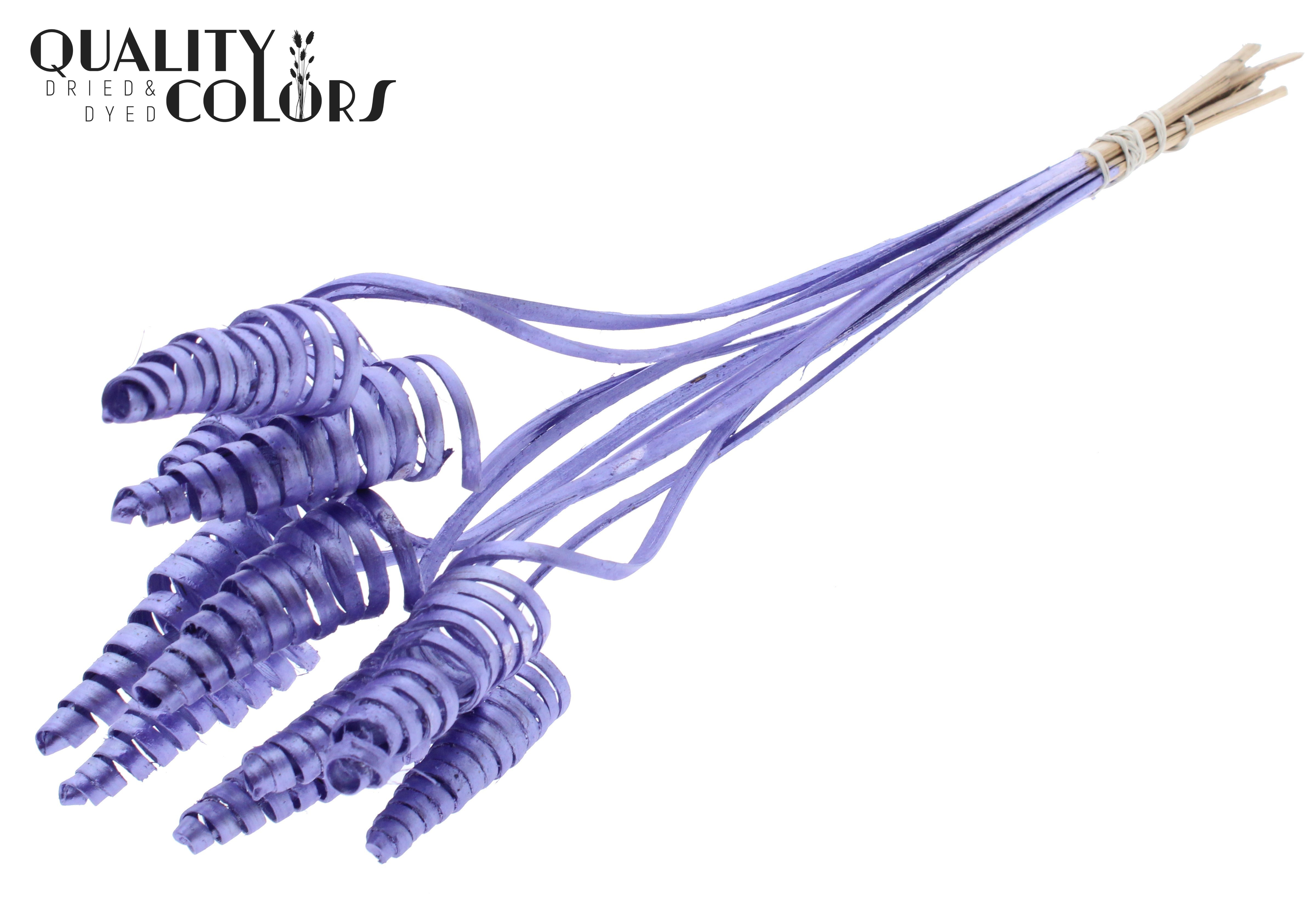 Cane Cone Metallic Purple 50cm