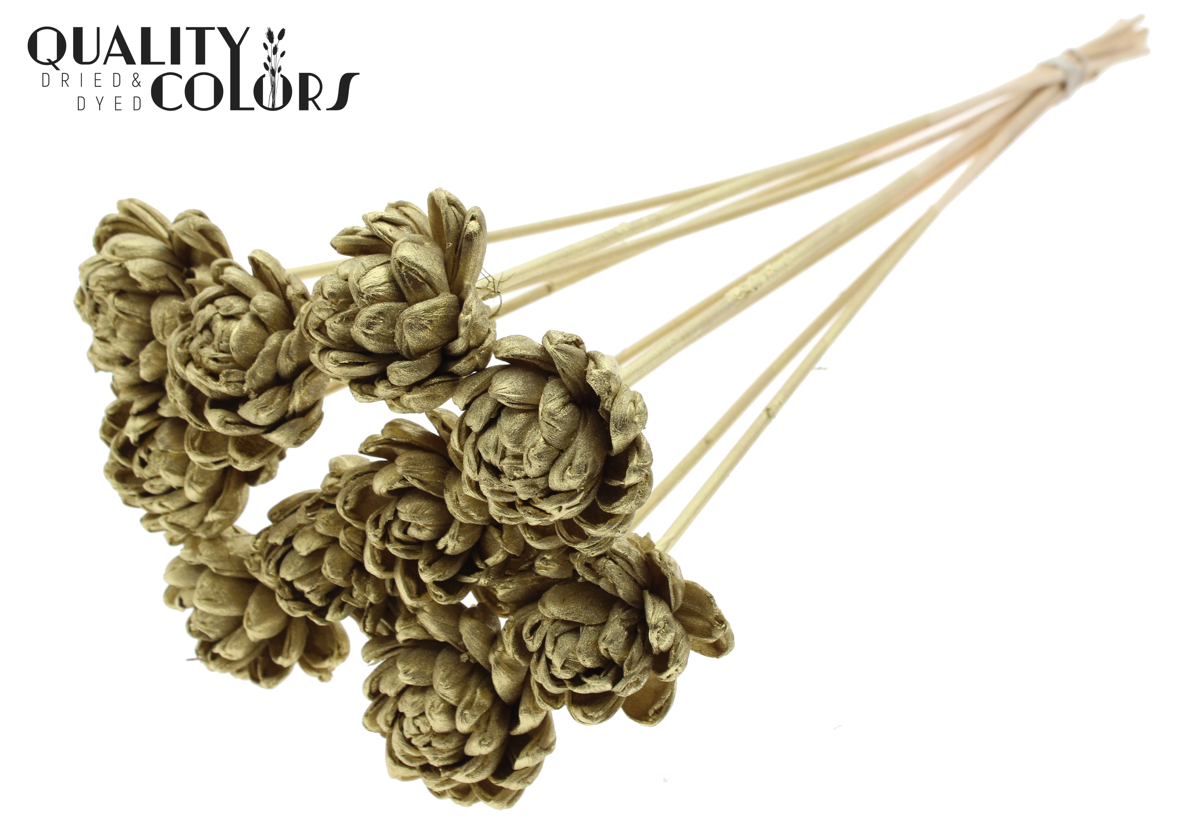Shola Beauty Rose Gold 50cm
