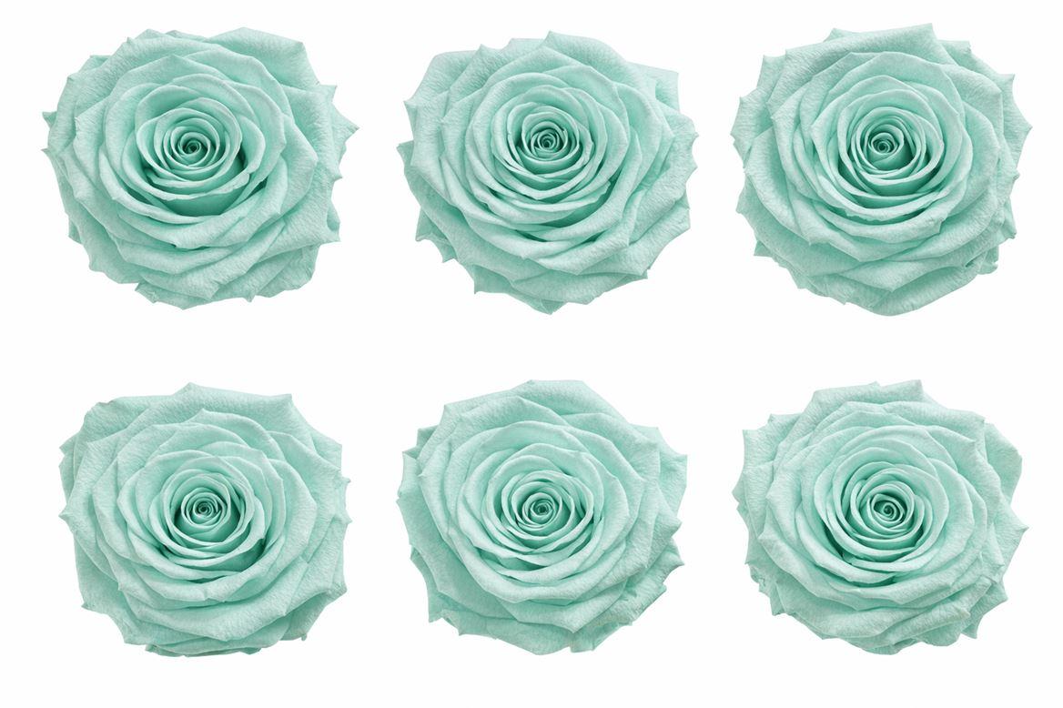 Ro Pres Classic Green Mint