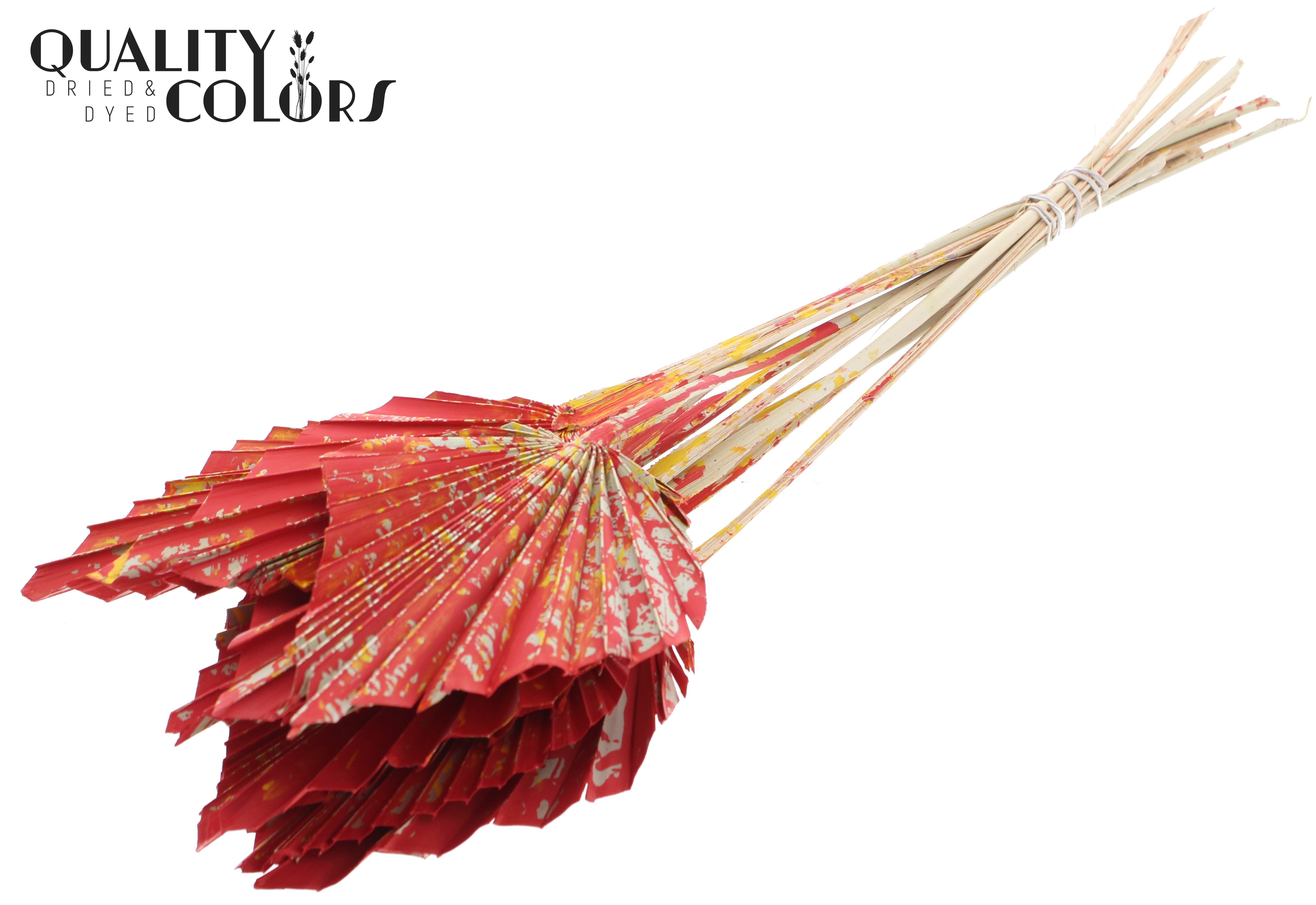 Palm Sun Multicolour Red 50cm