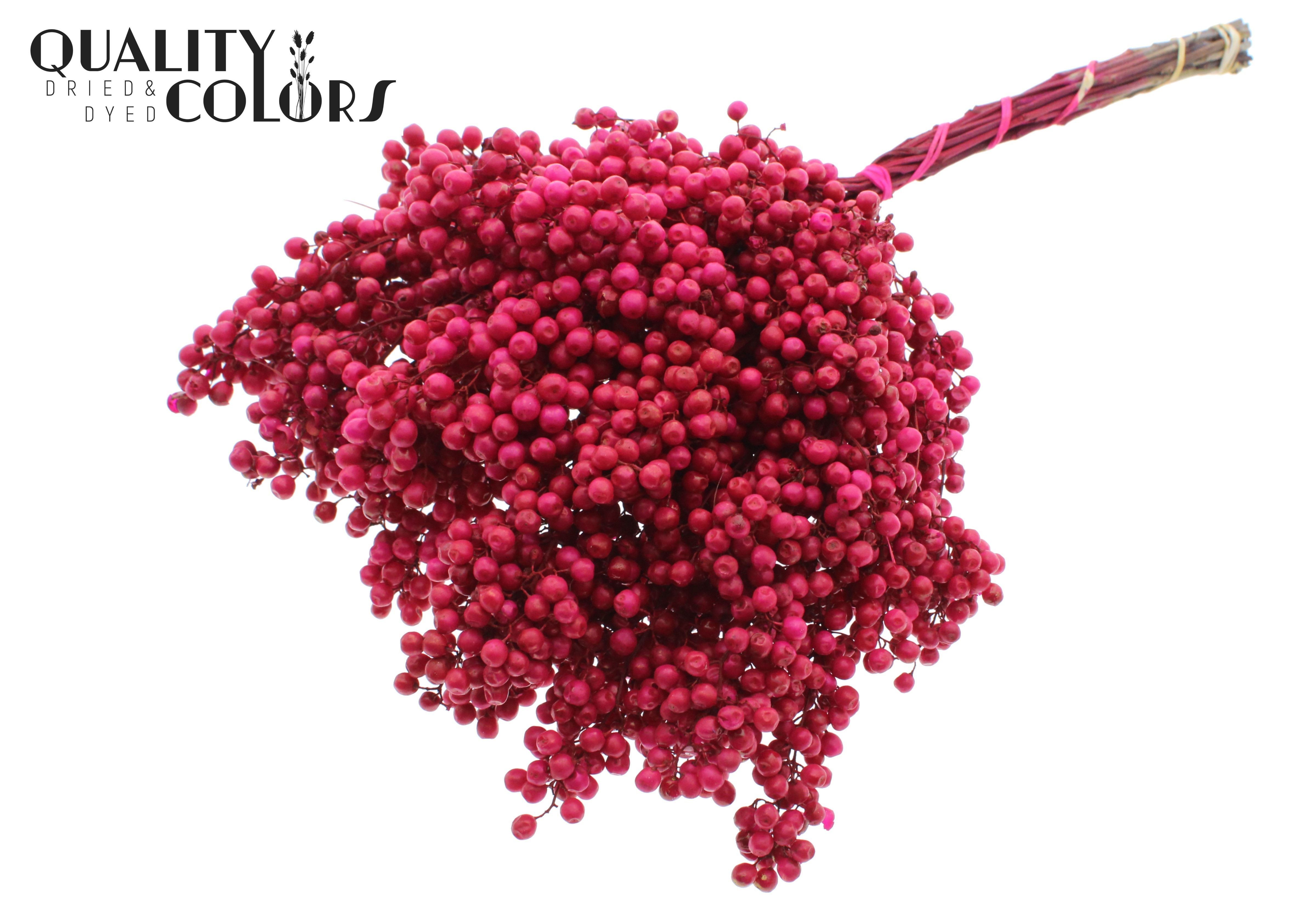 Schinus Mollis Cerise Per Bunch