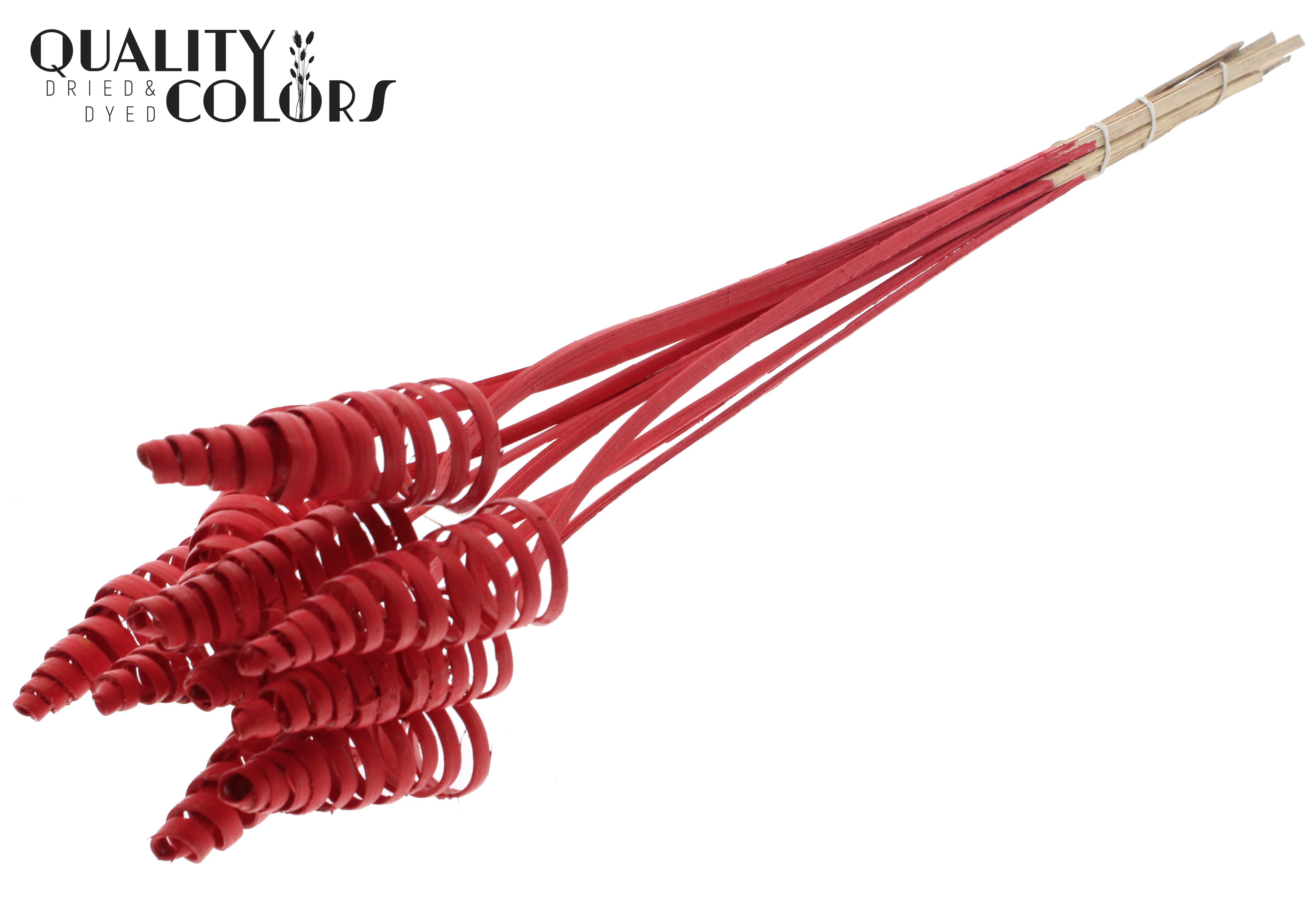 Cane Cone Red 50cm
