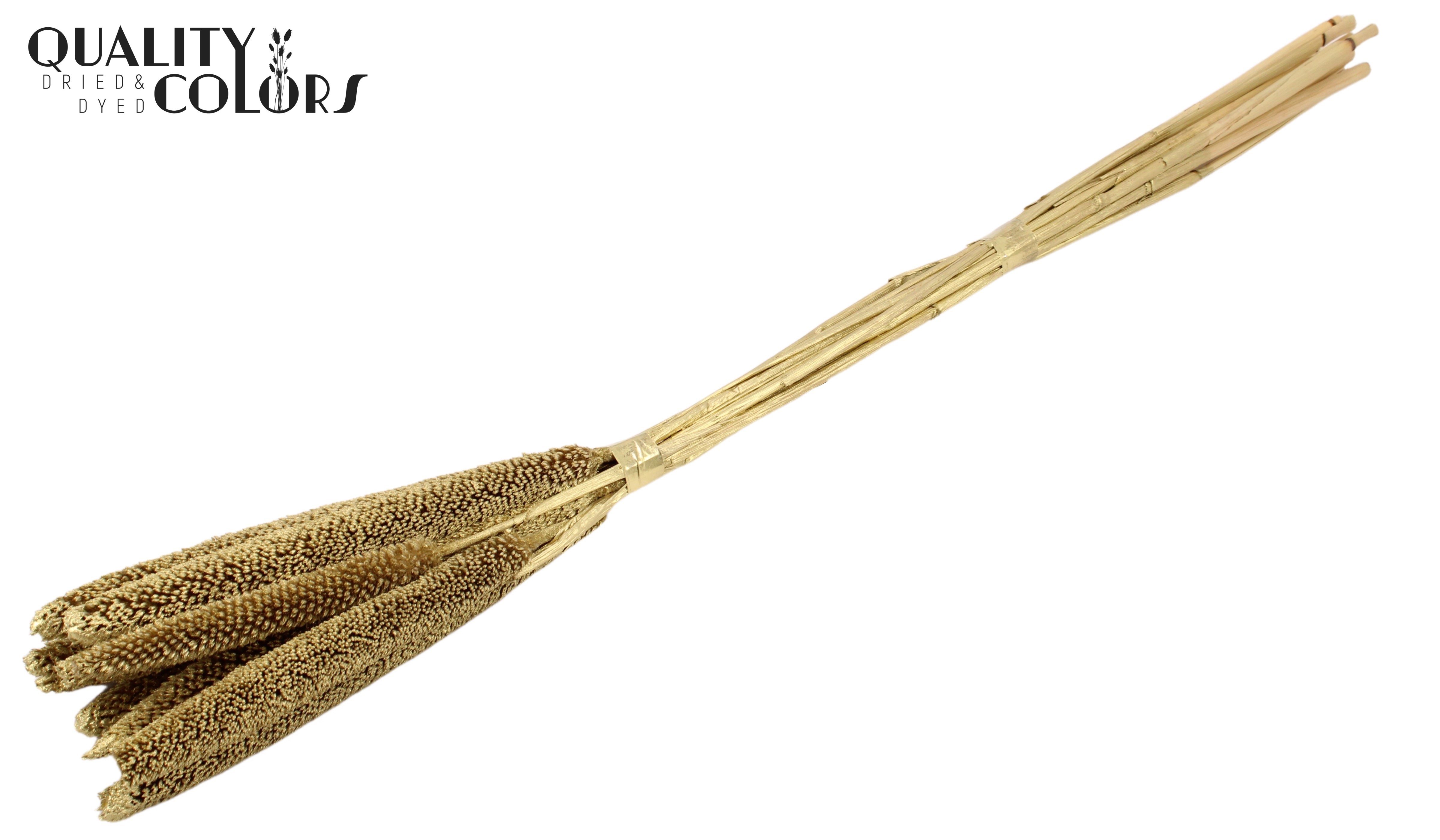 Babala Gold 65cm