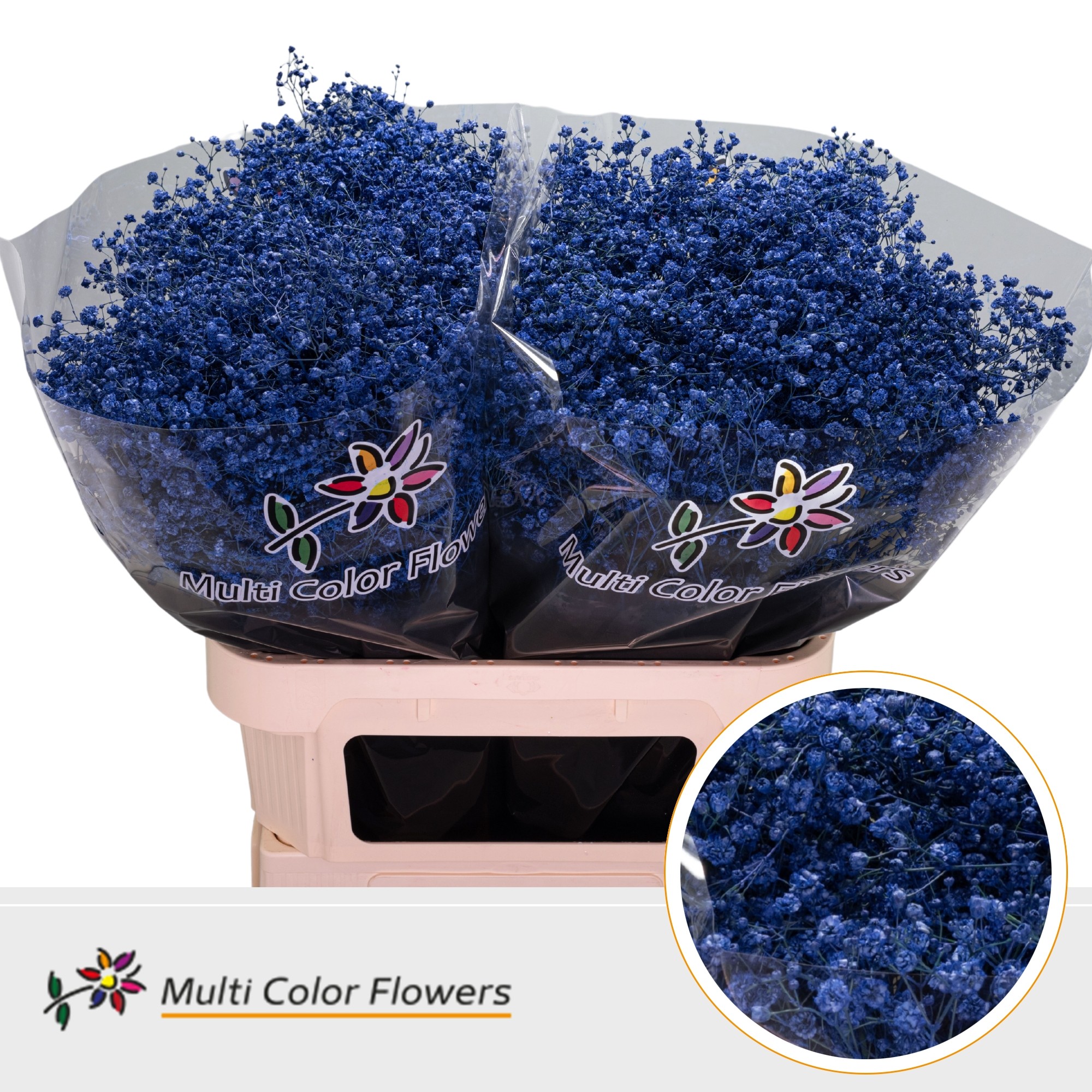 Gypsophila Painted Xlence Dark Blue 80cm