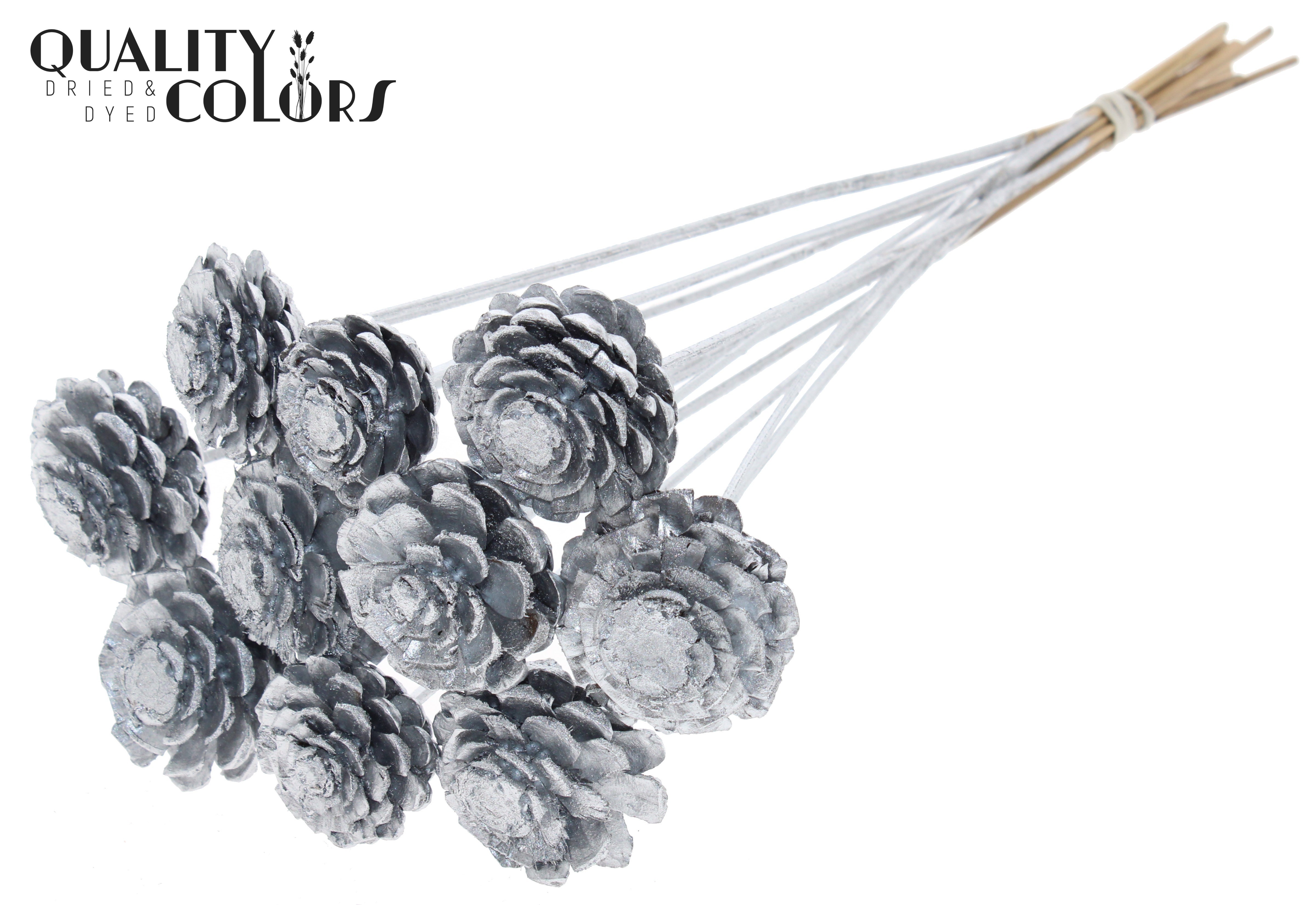 Pine Cone Silver 50cm