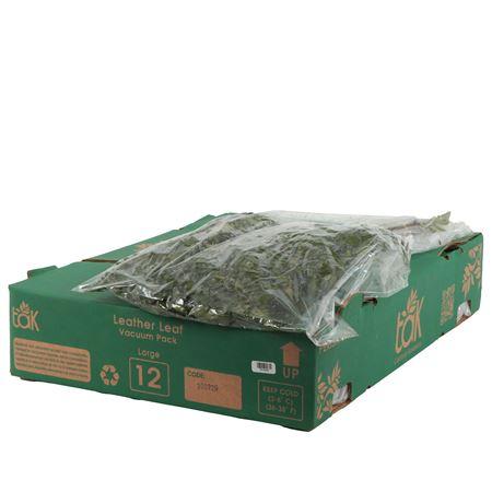 Leatherleaf Italy Per Bunch