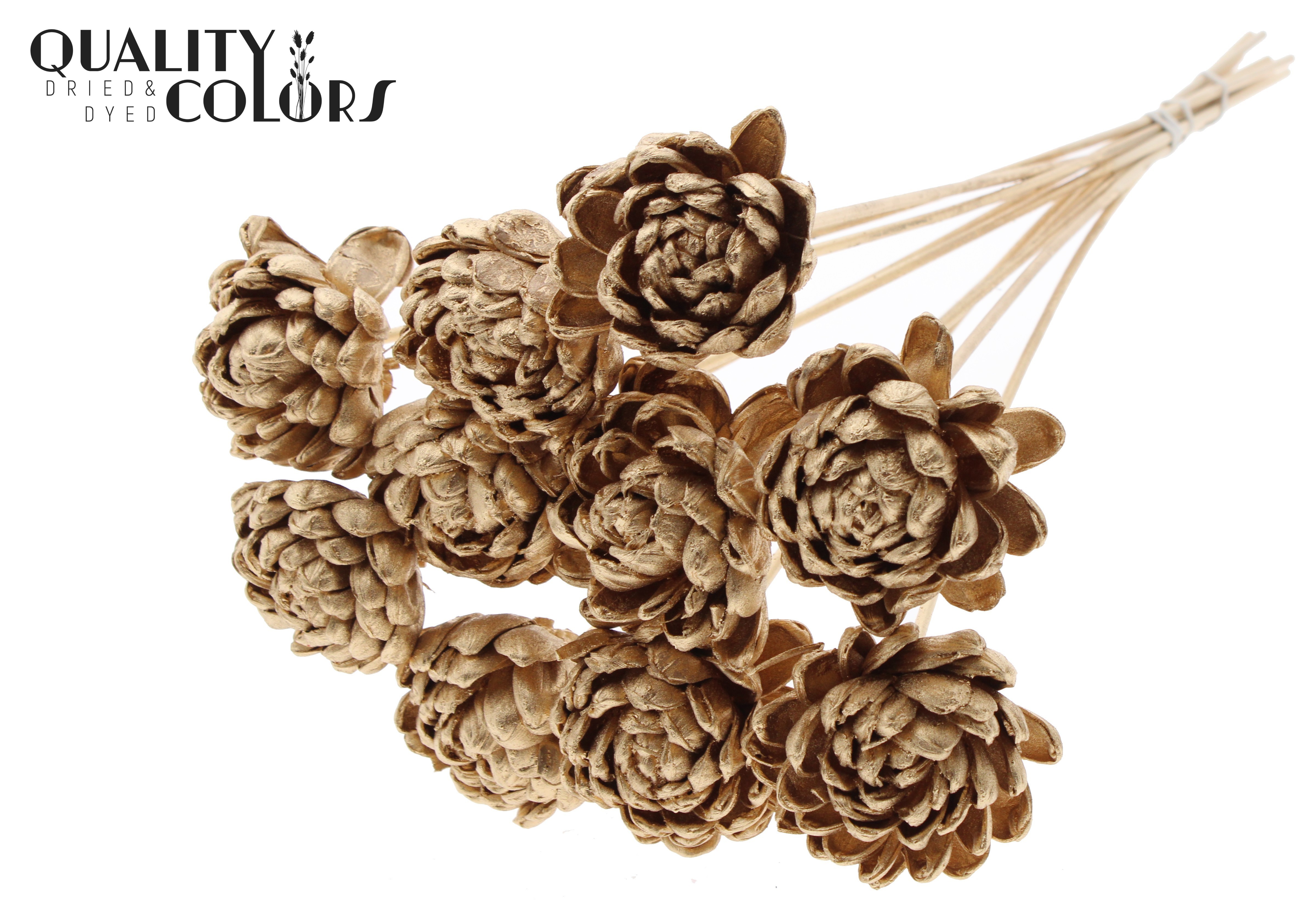 Shola Beauty Rose Antique Gold 50cm