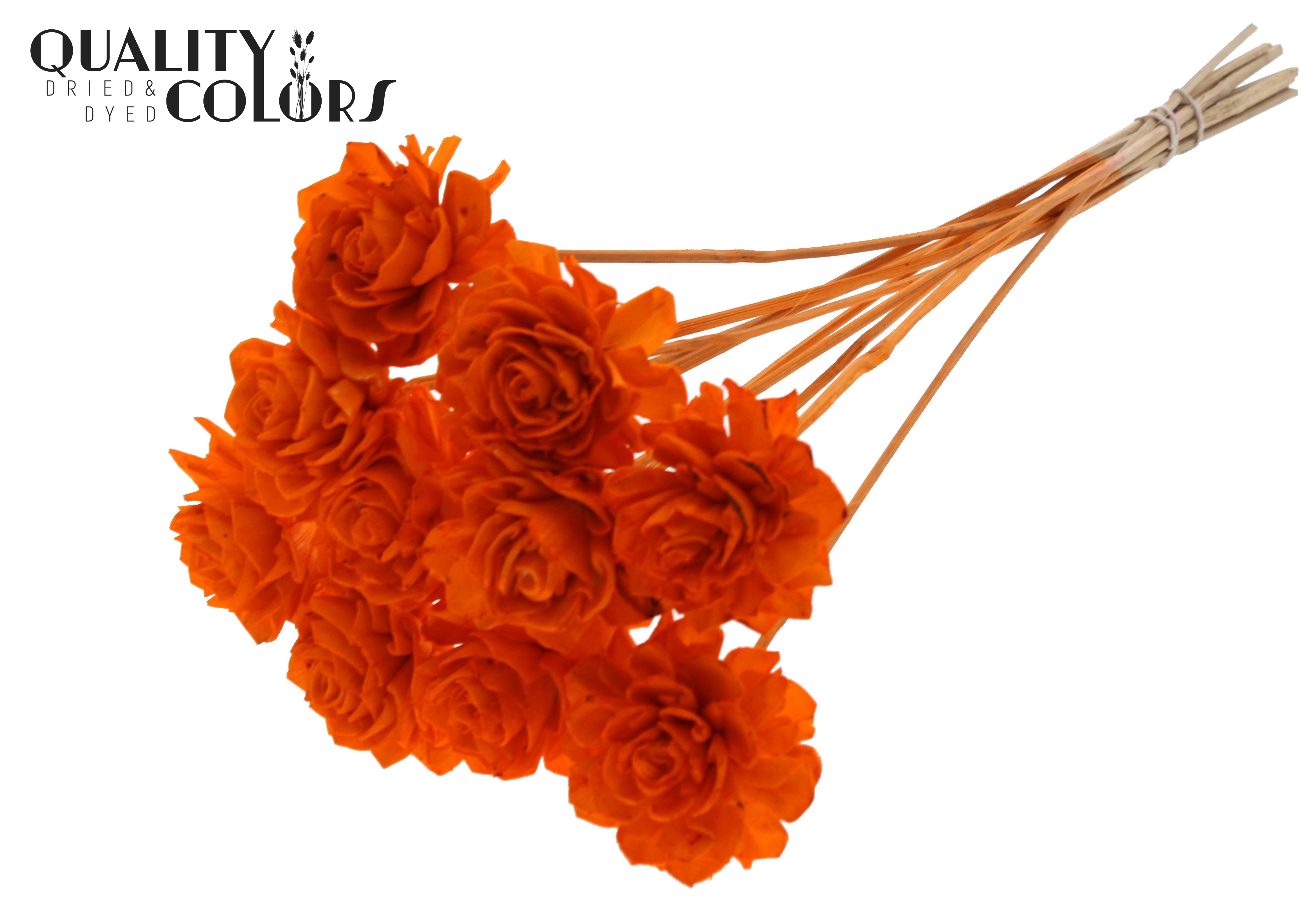 Shola Beauty Rose Orange 50cm