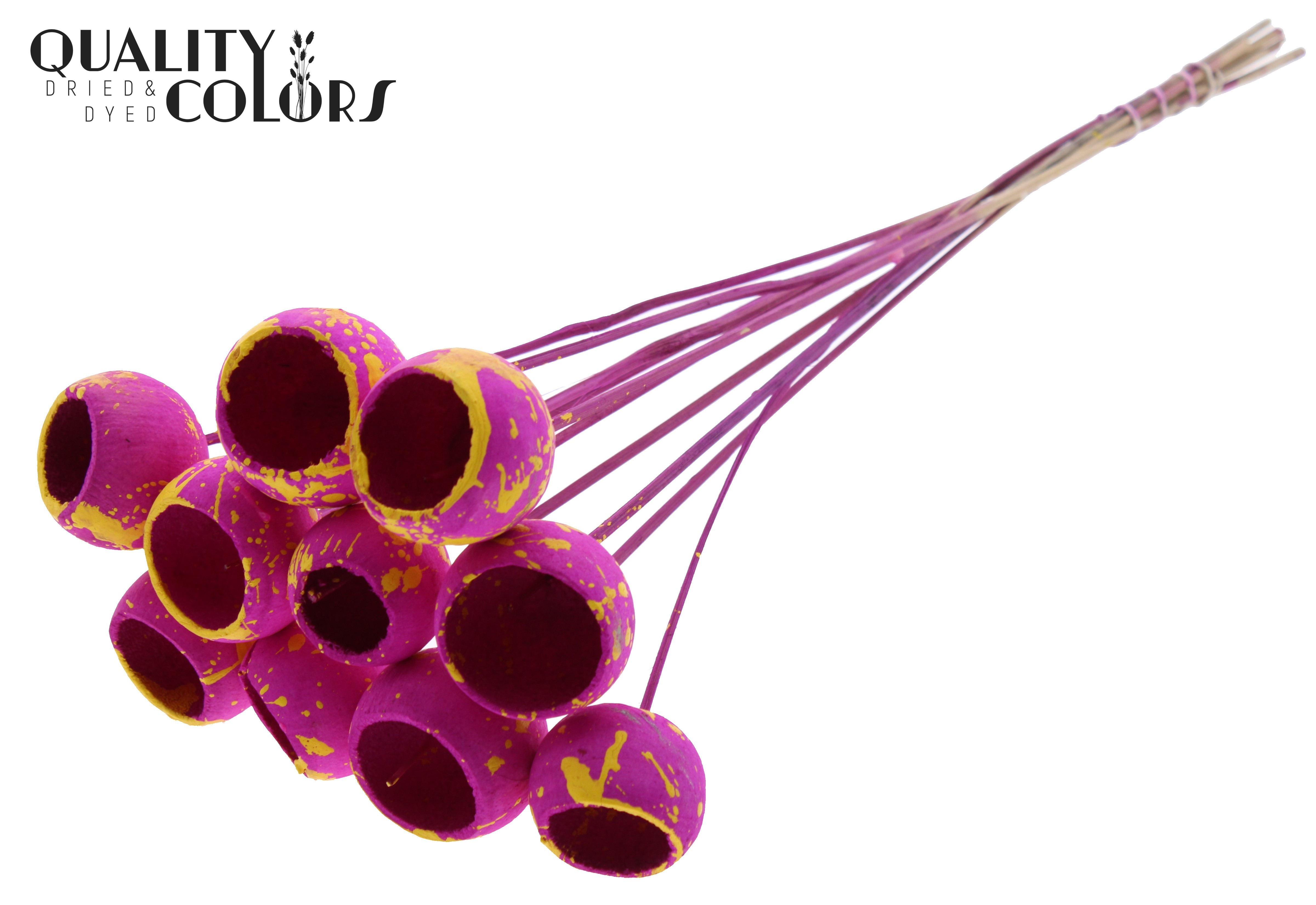 Bell Cup Splashed Lilac Yellow 50cm
