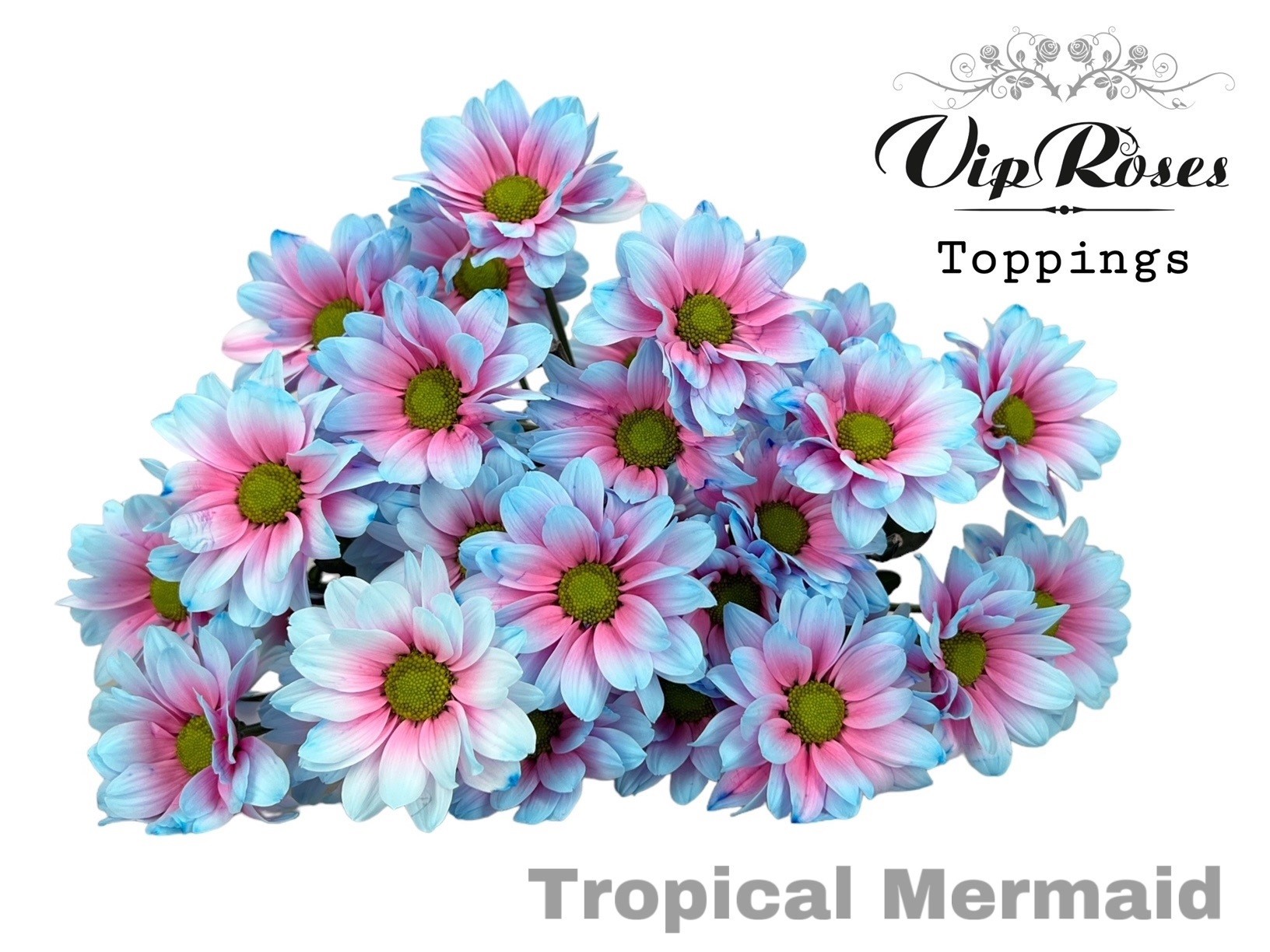 Chr T Tropical Mermaid 65 cm