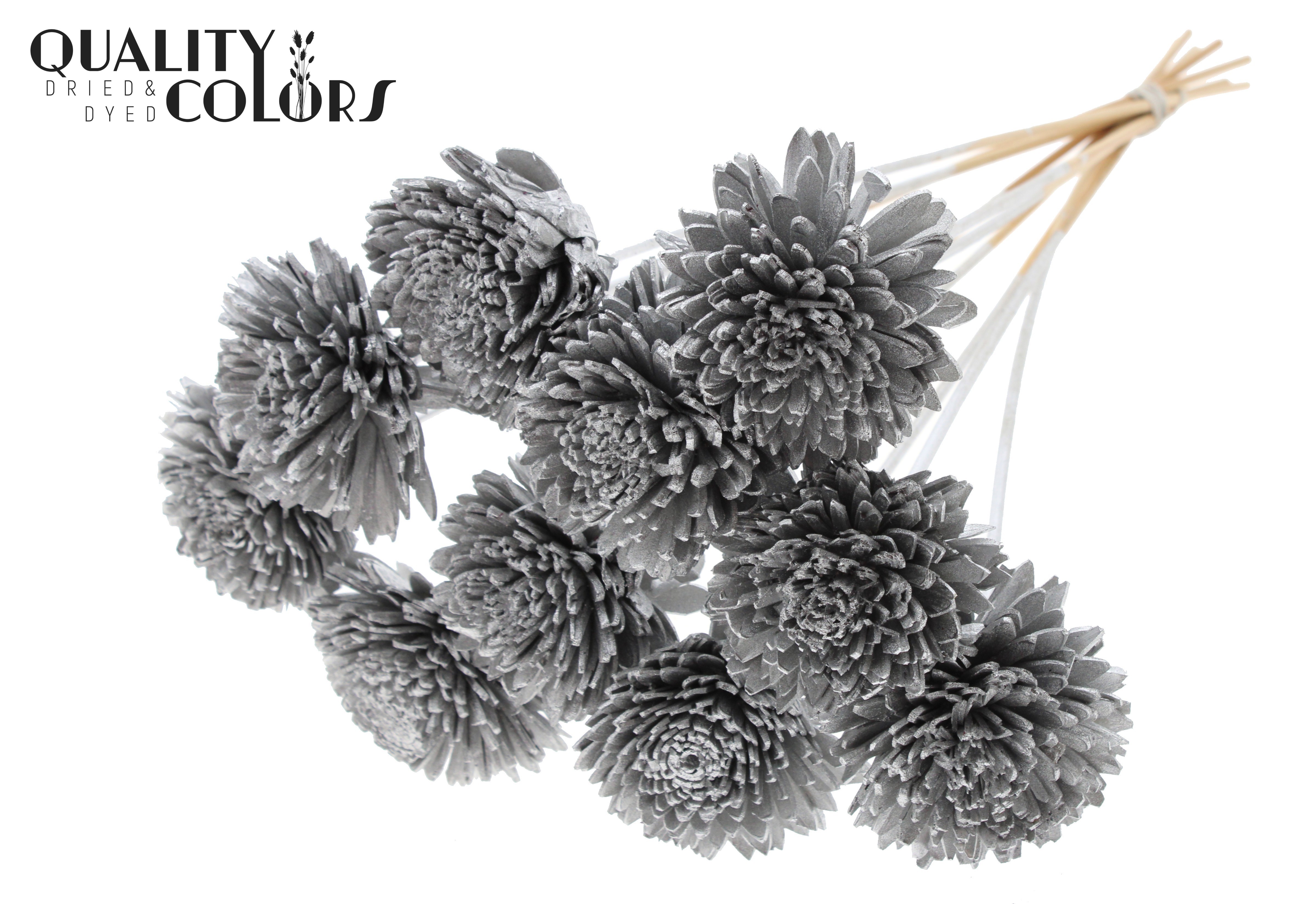 Shola Zinia Silver 50cm