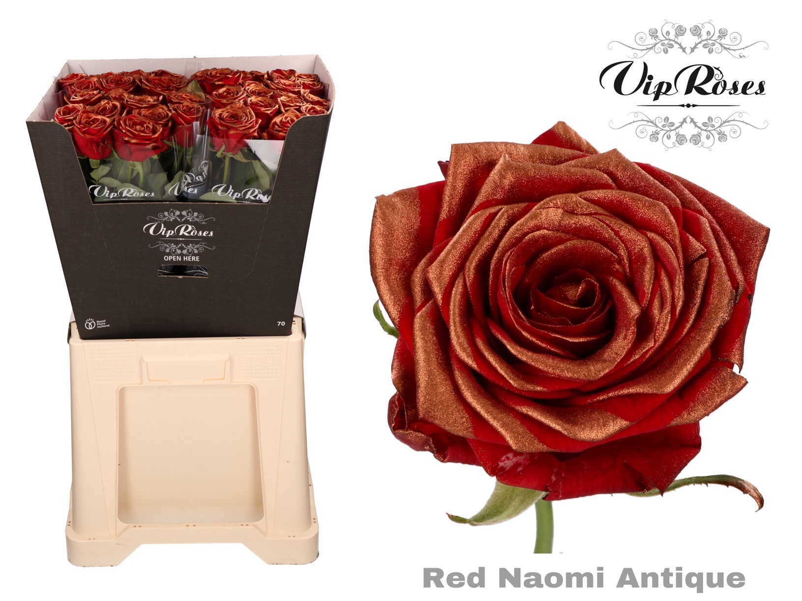 Rosa Painted Red Naomi Antique 70cm