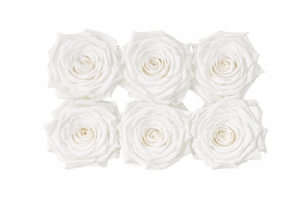 Ro Pres Classic White
