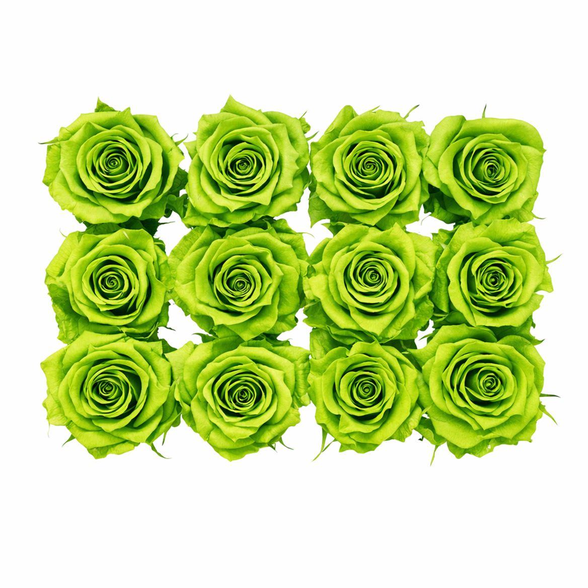 Ro Pres Mini Green Lime