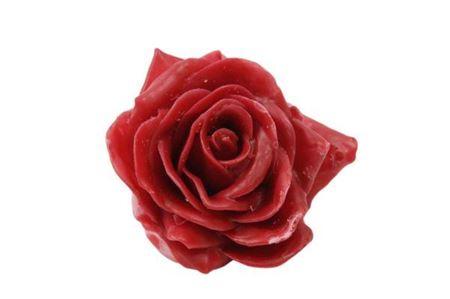 Wax Rose D10 Red