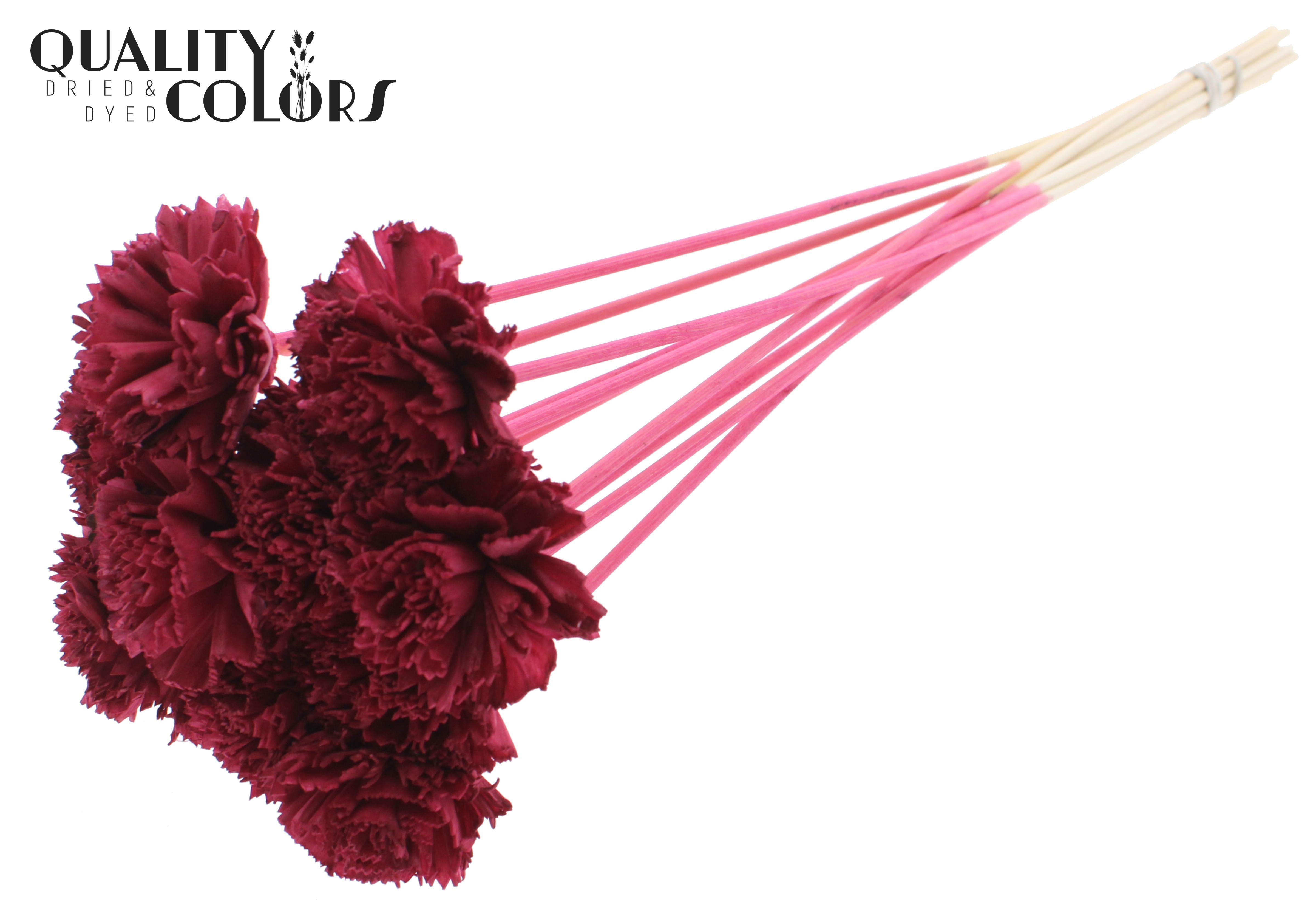 Shola Karnish Flower Burgundy 50cm