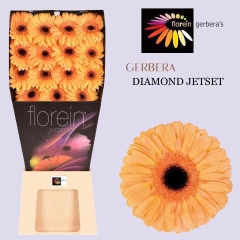 Ge Gr Jetset Diamond 45