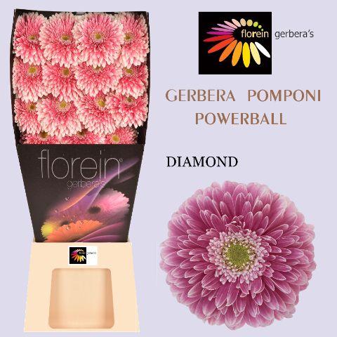 Ge Gb Pom Power Ball Diamond X 45