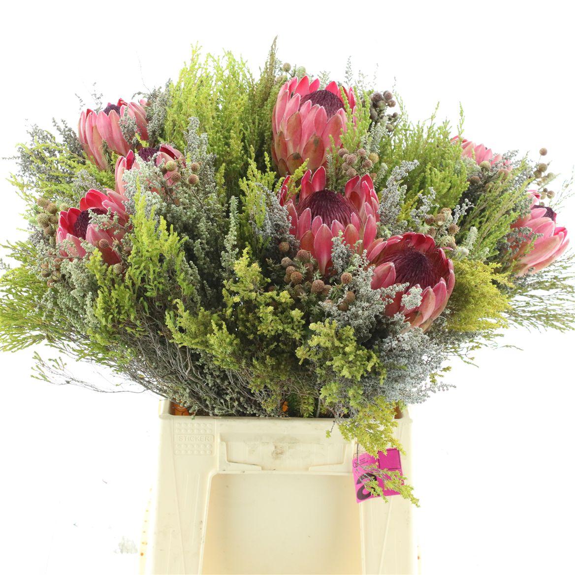 Kaaps Bouquet 2 Protea Mix