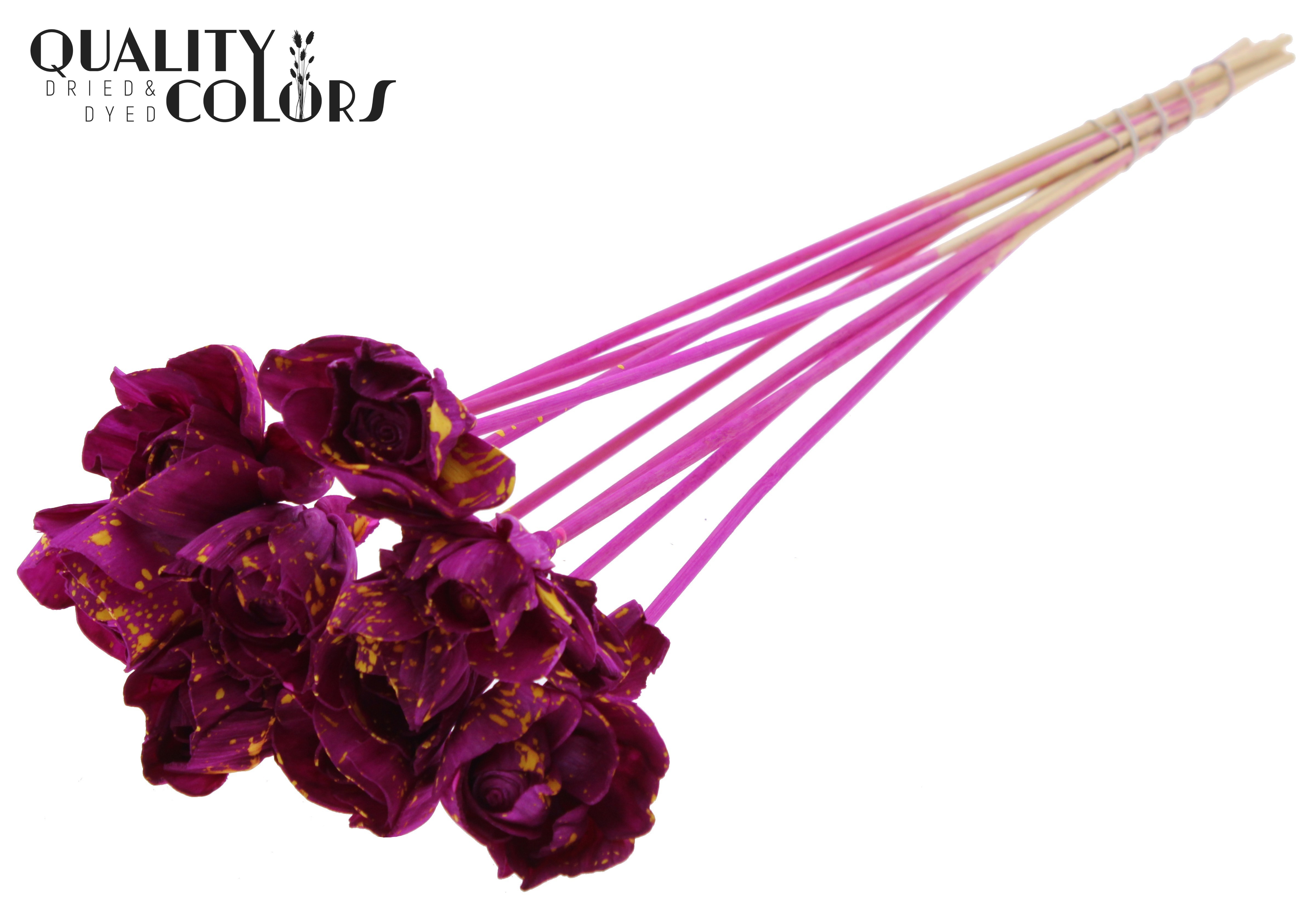 Shola Dear Holly Splashed Lilac Yellow 50cm