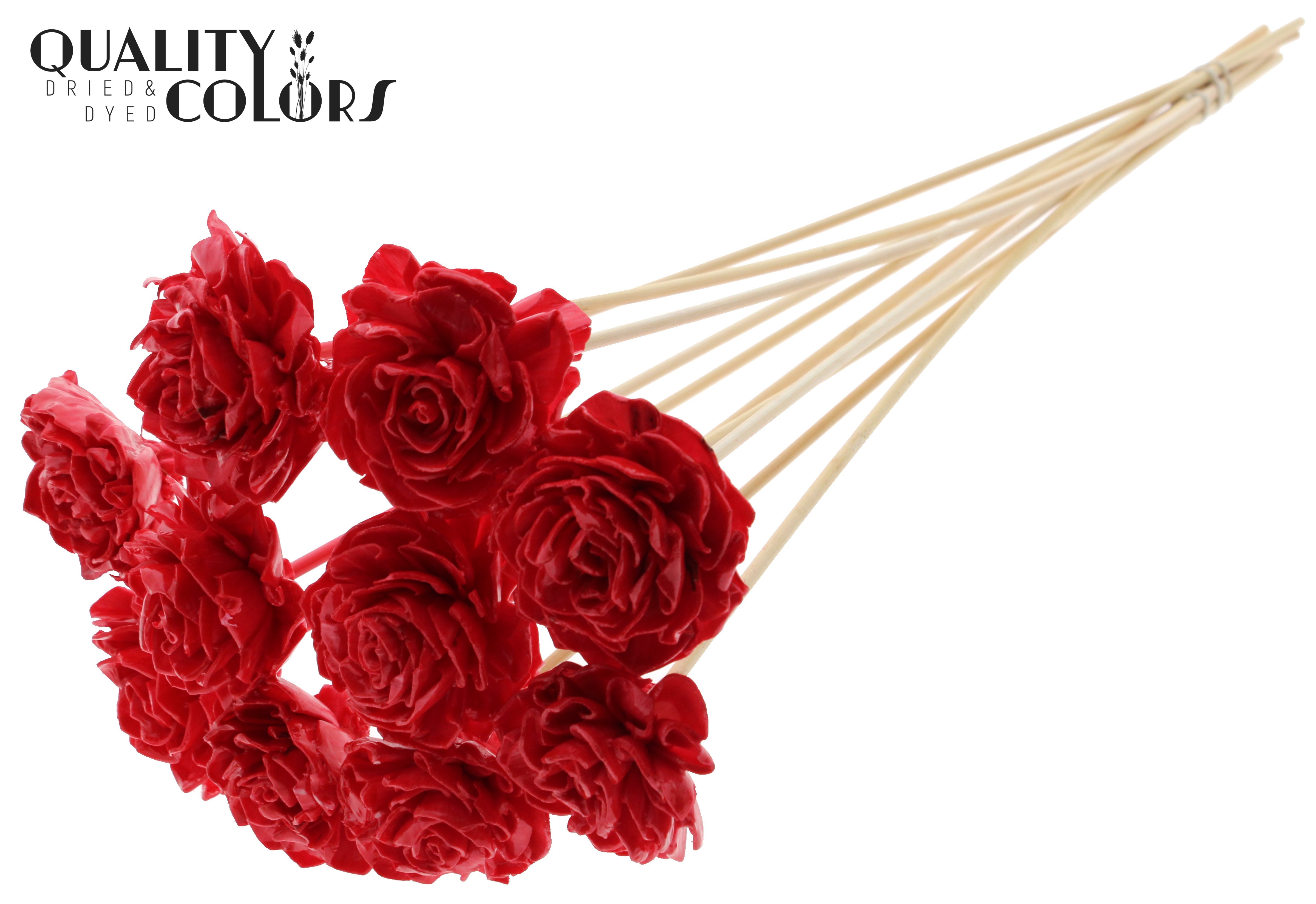 Shola Dhaliya Wax Red 50cm
