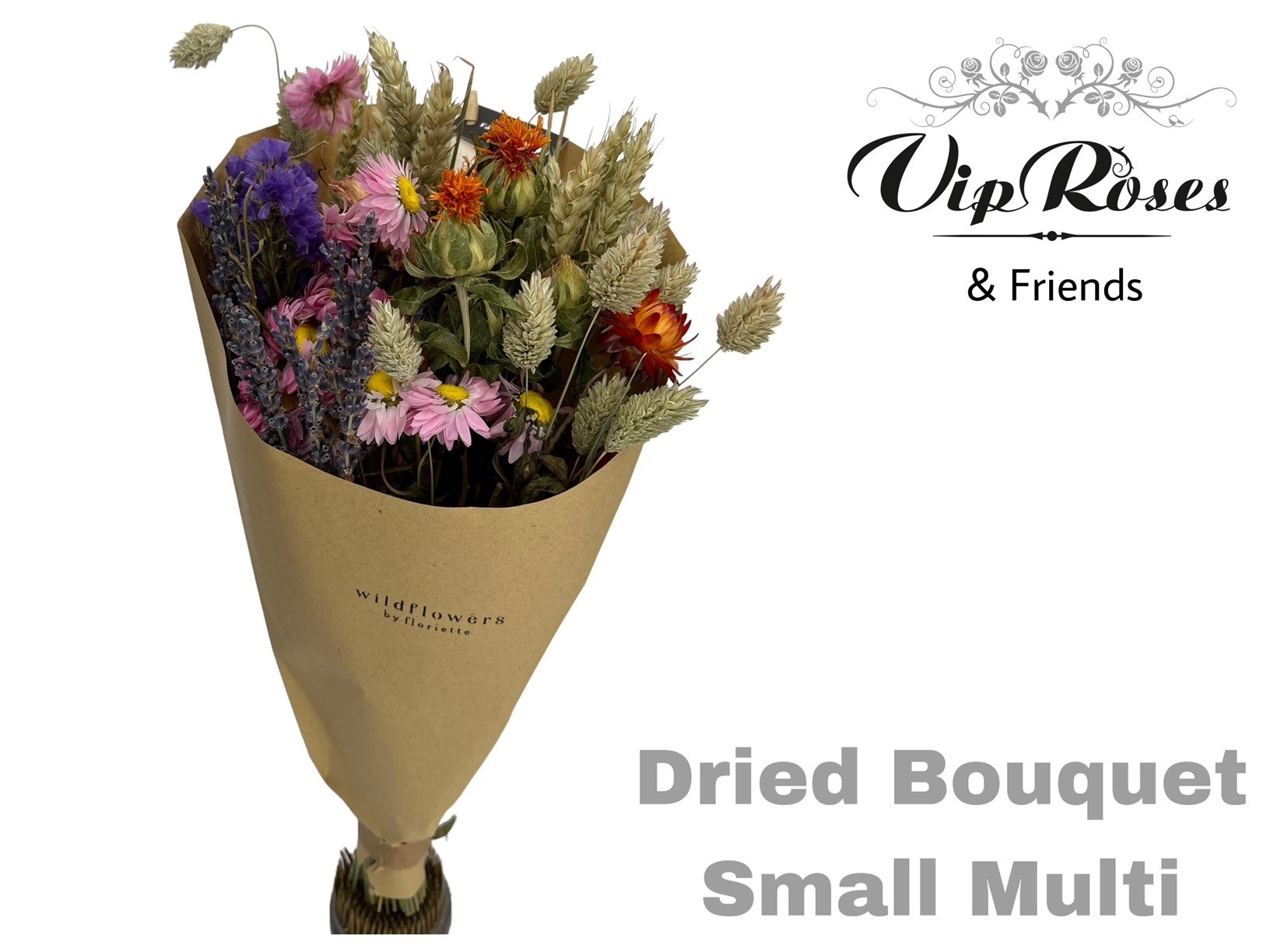 Dried Bouquet Small Multi X12 35 cm