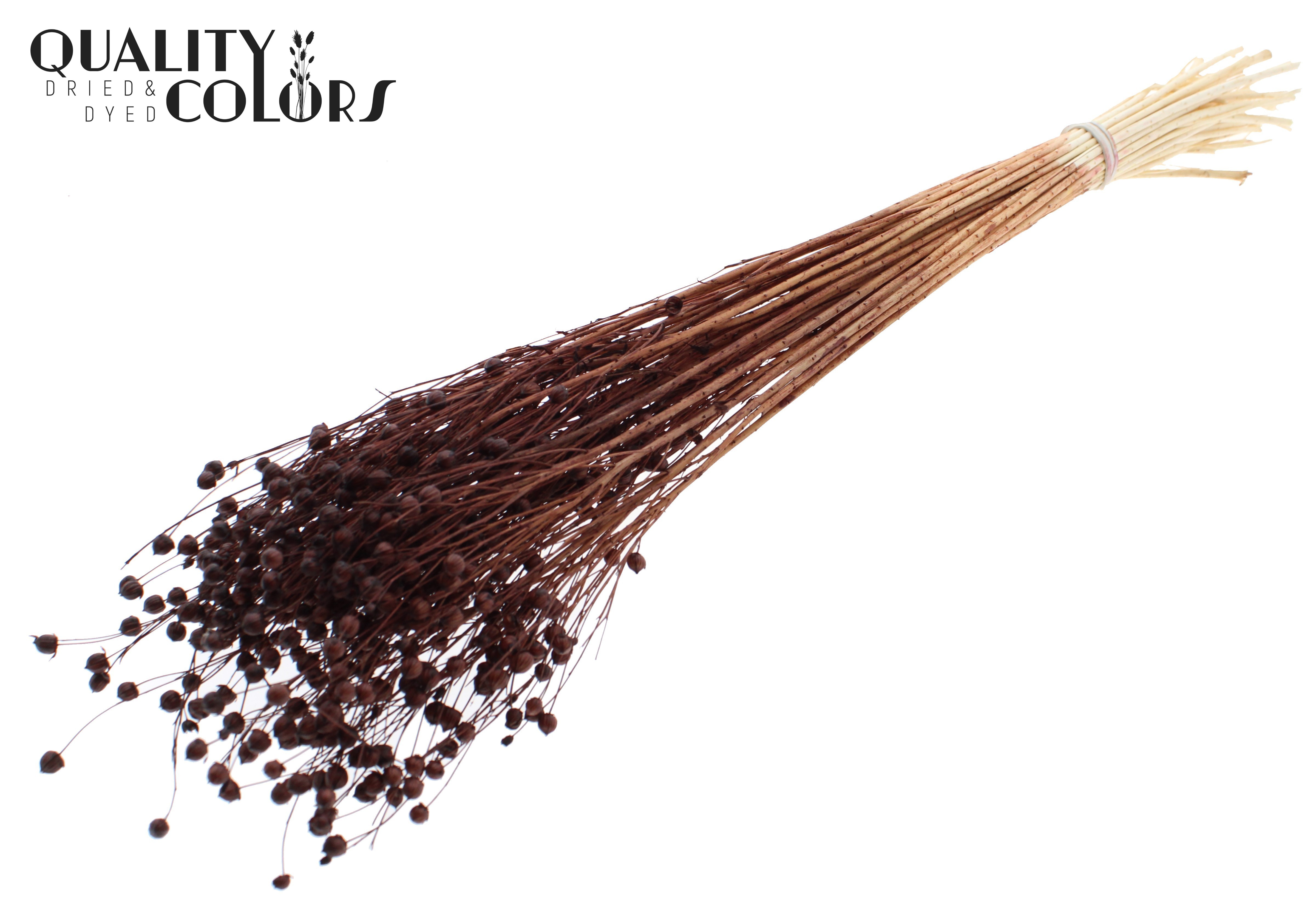 Lino Flax Intense Brown Per Bunch 70cm