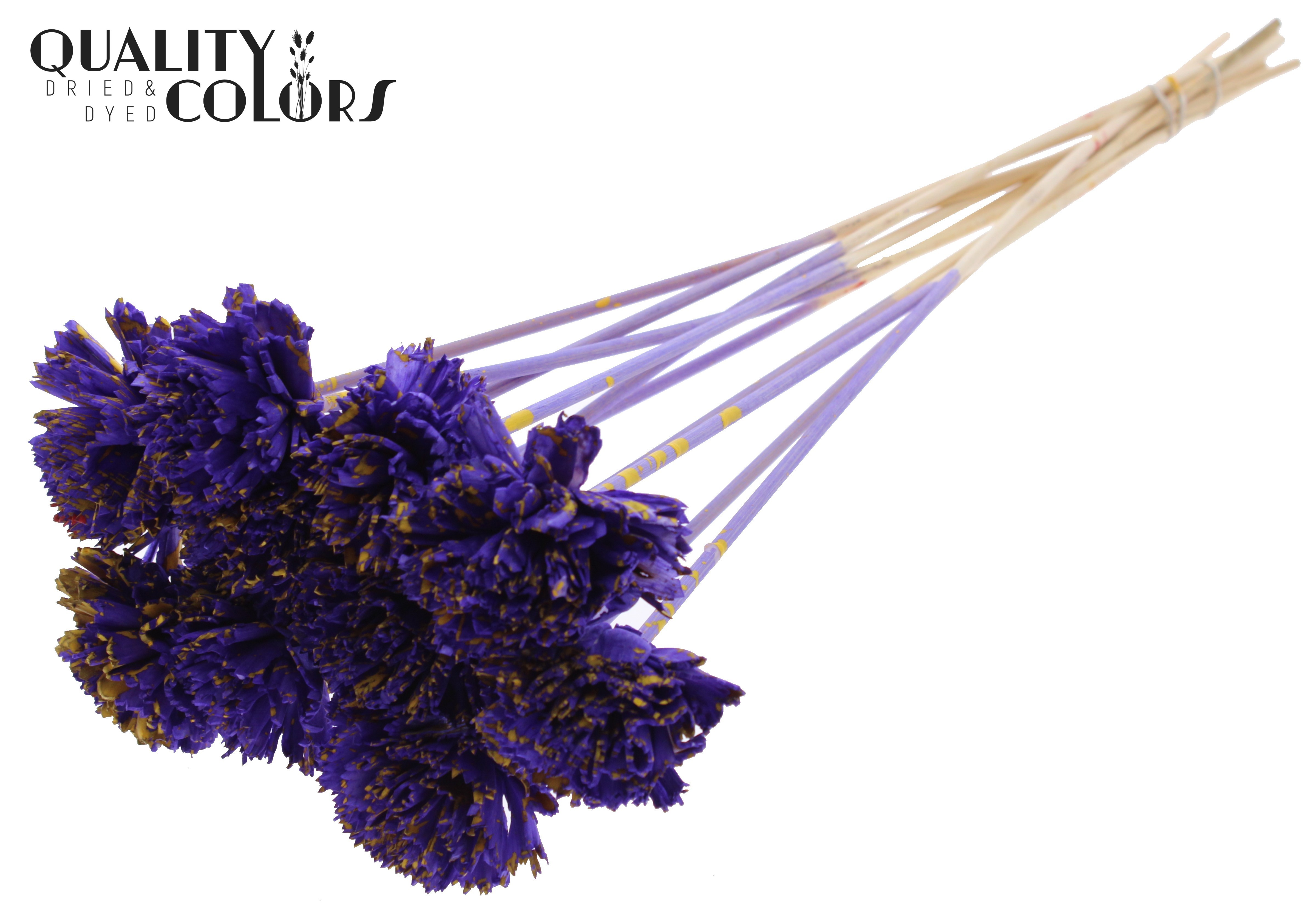 Shola Karnish Flower Splashed Purple Yellow 50cm