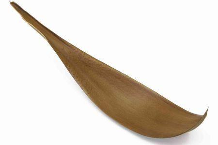 Coco 60-80cm Giant