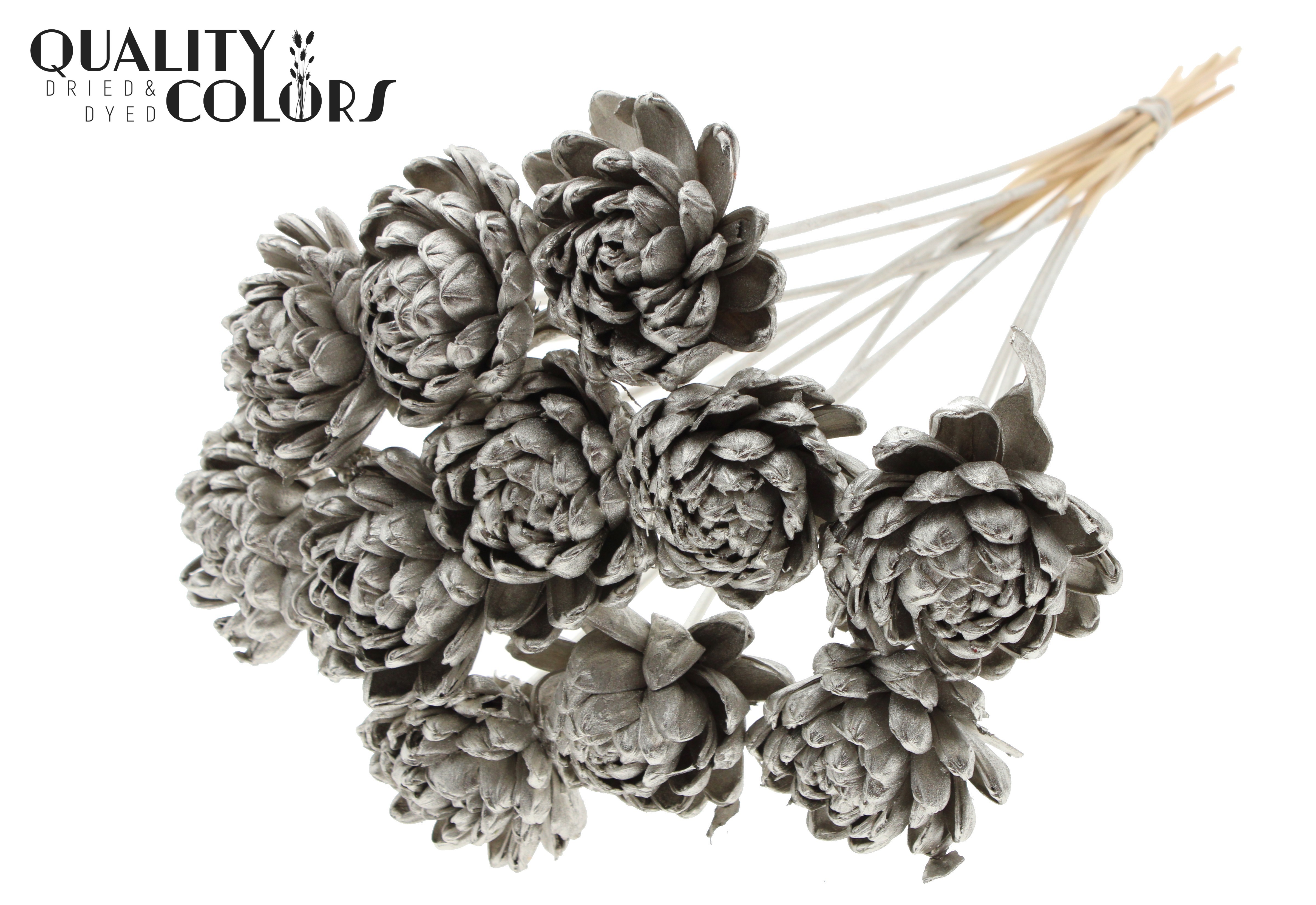 Shola Beauty Rose Platinum 50cm