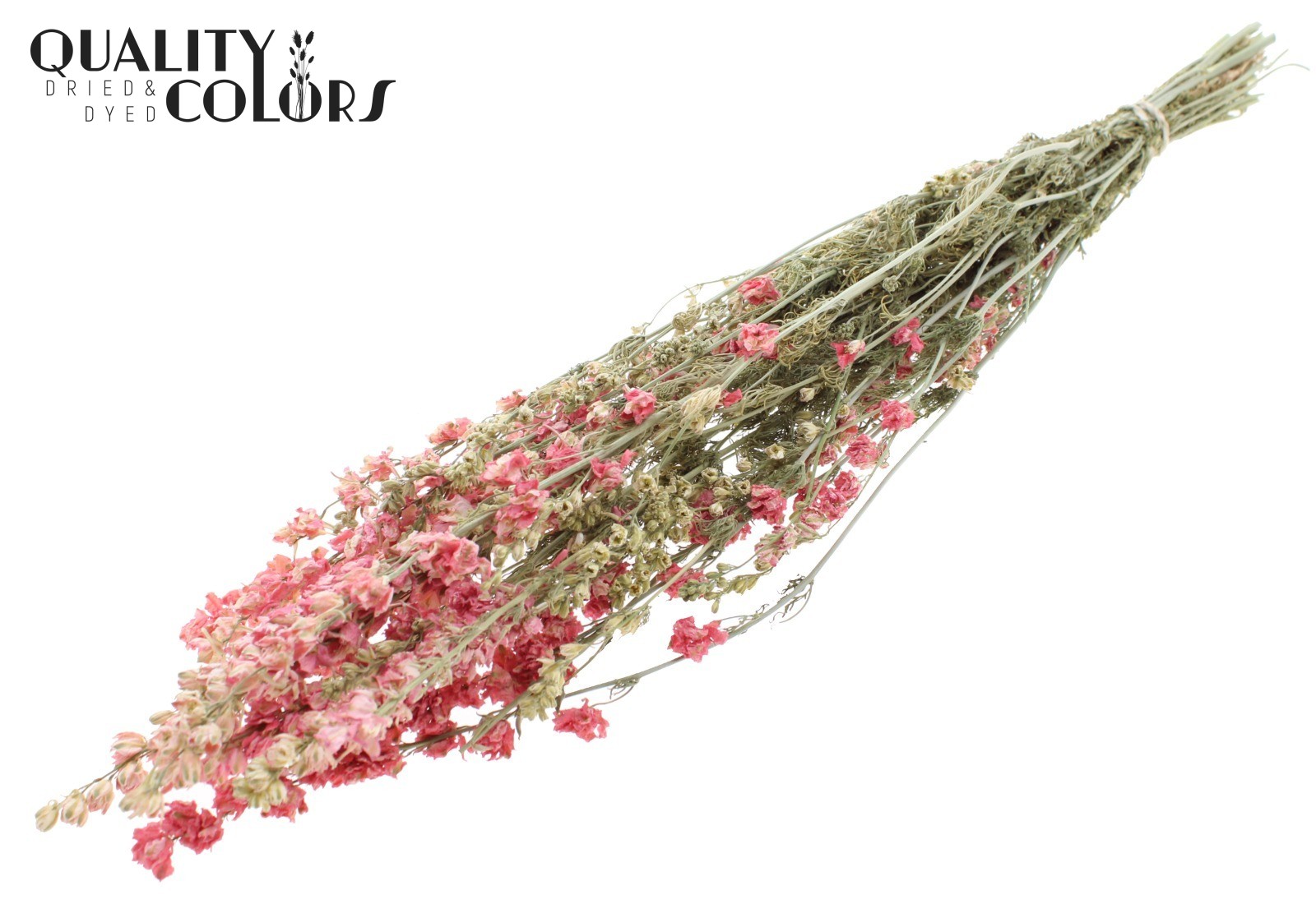 Delphinium Pink Per Bunch 70cm