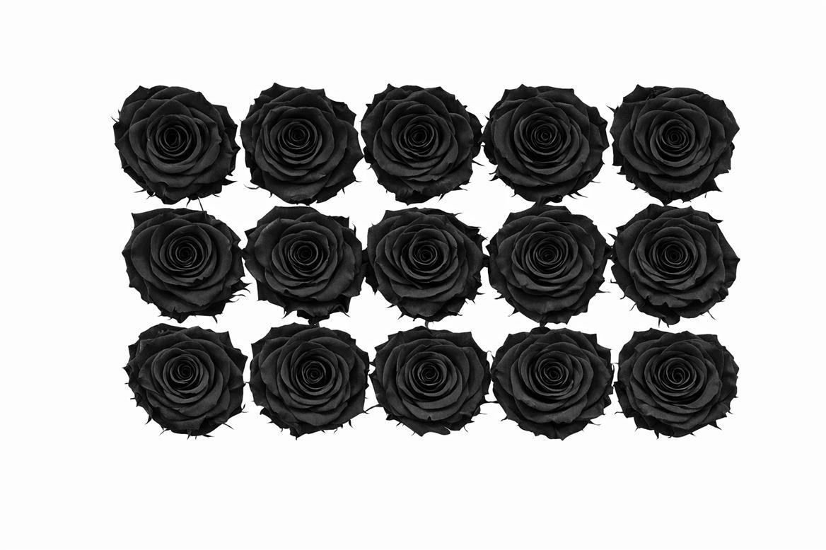 Ro Pres Mini Black