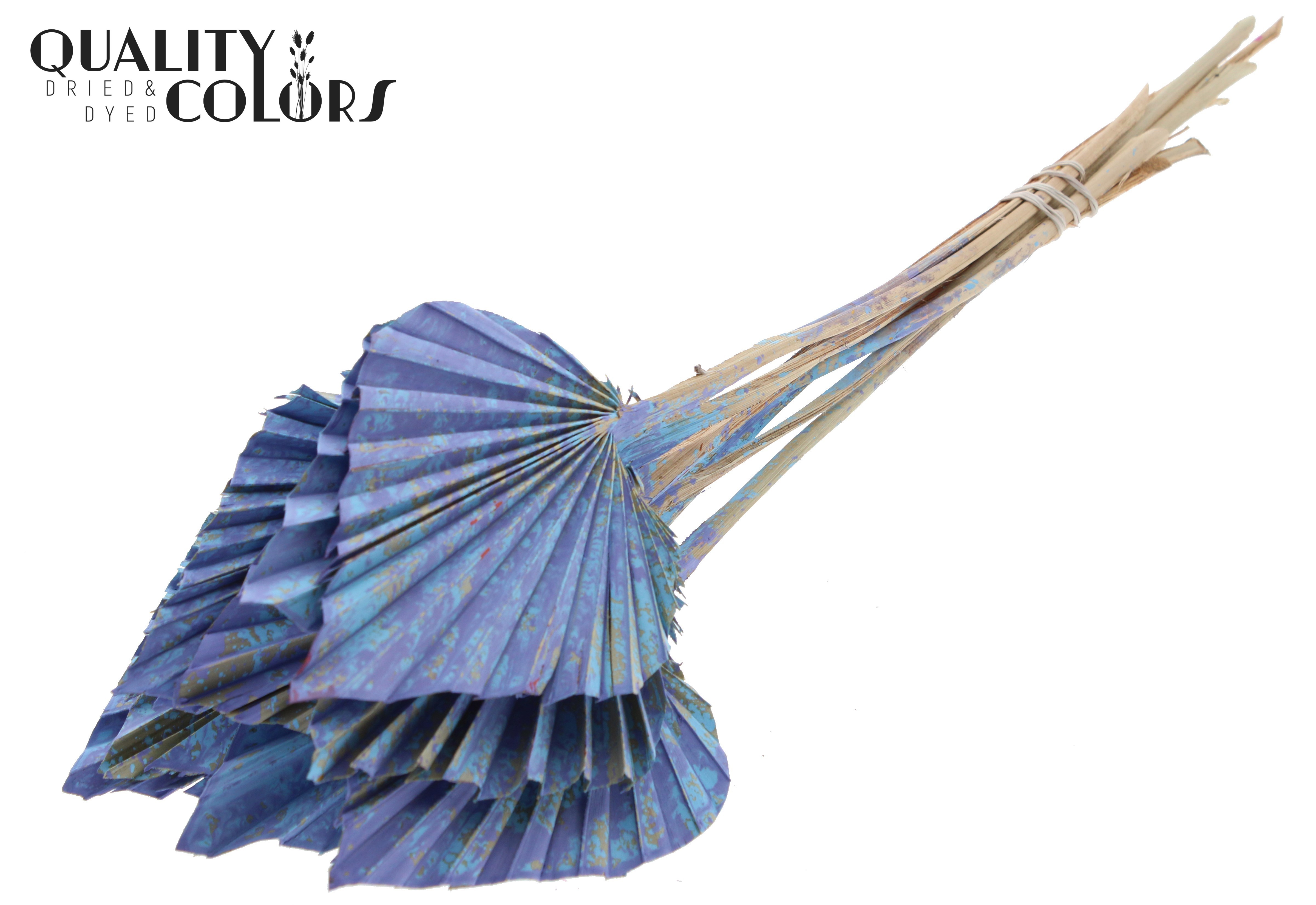 Palm Sun Multicolour Light Blue 50cm