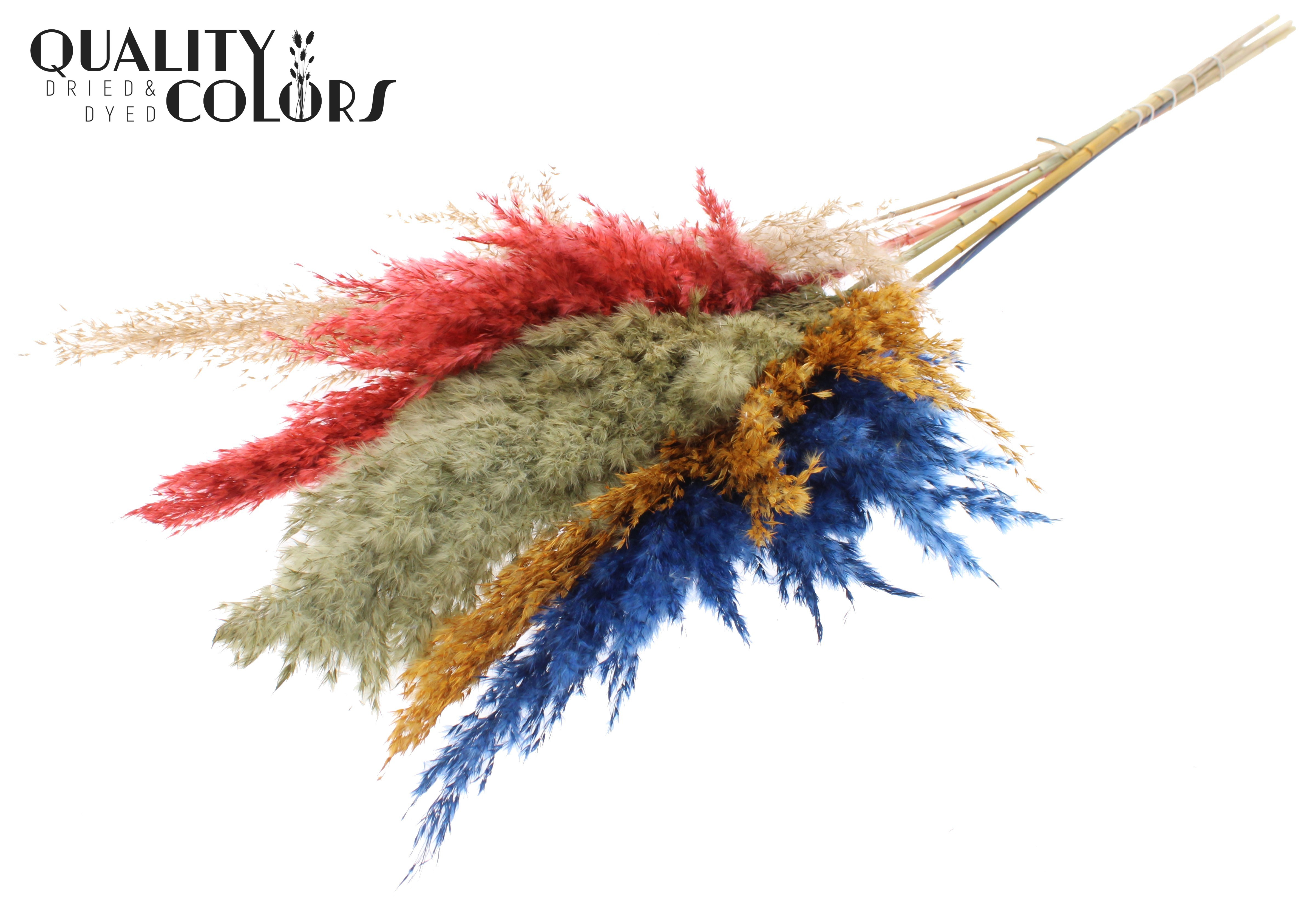 Pampas Grass Colourful 6 Per Bunch 100cm