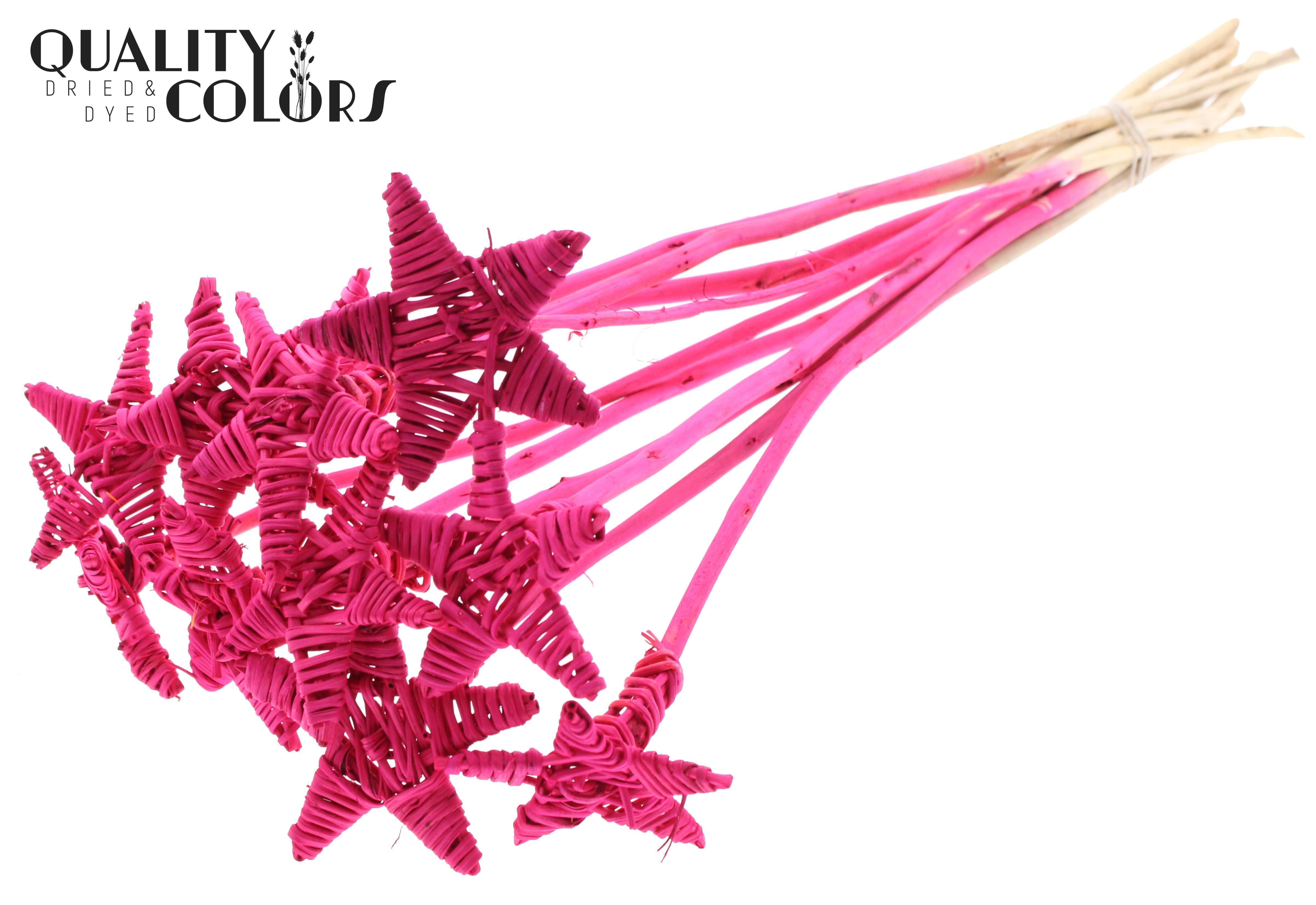 Lata Star Cerise 50cm
