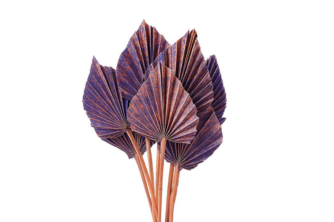 Dried Artz Palm Spear 10pc Da Vinci Bunch
