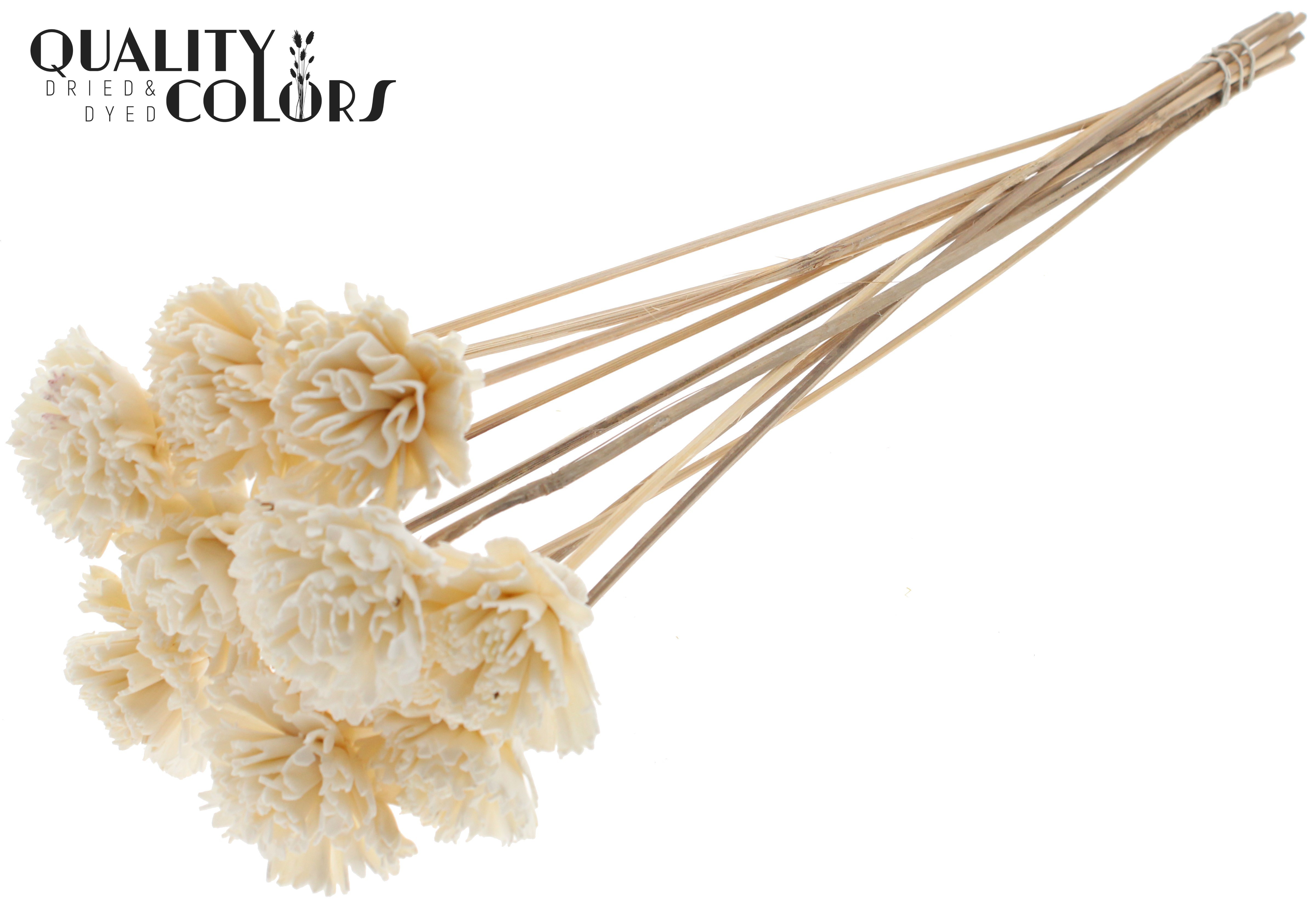 Shola Karnish Flower Natural 50cm