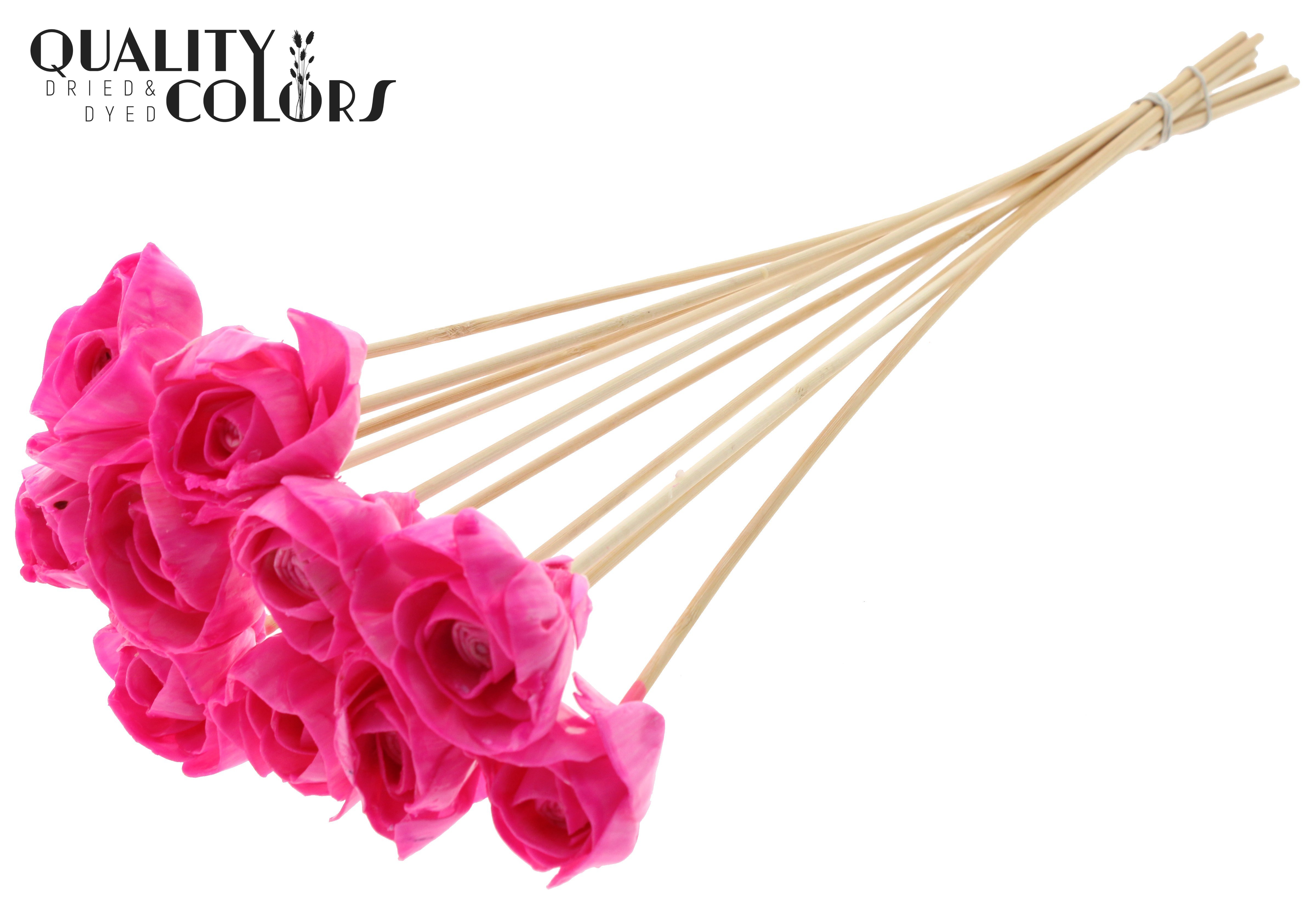Shola Dear Holly Wax Cerise 50cm