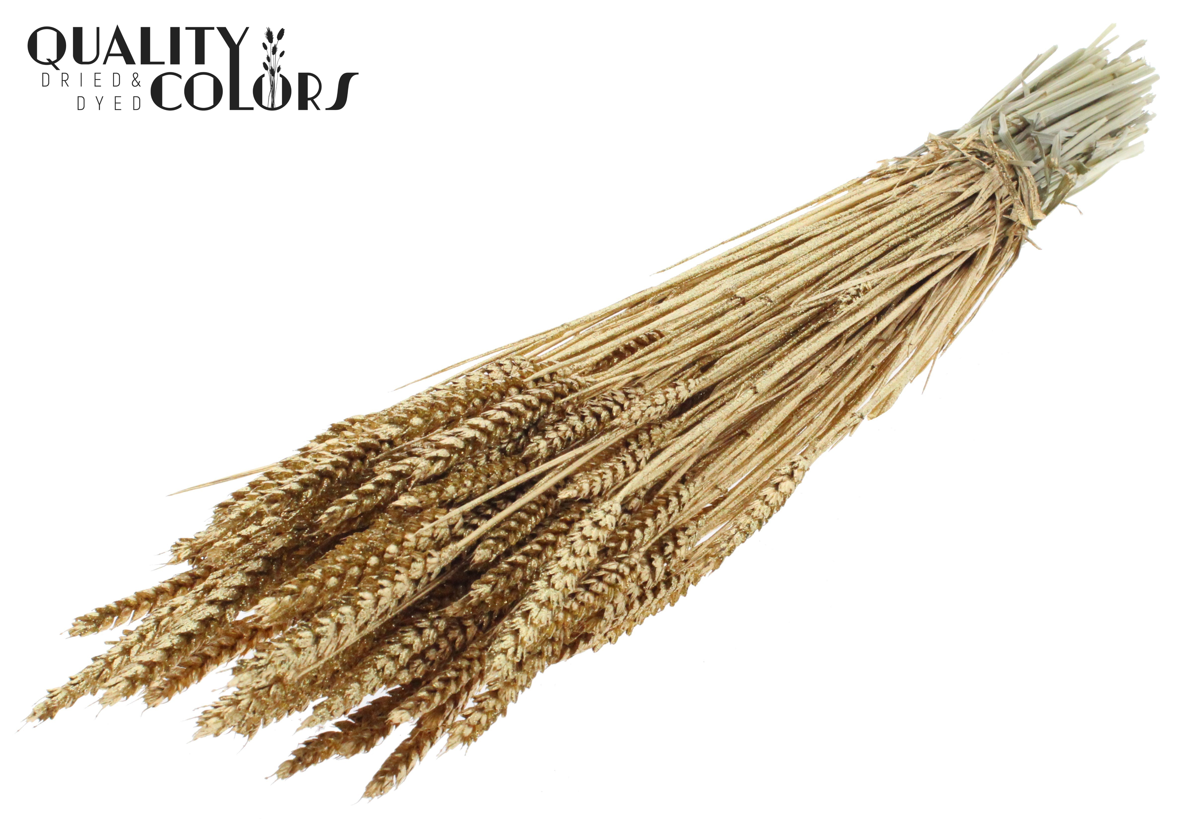 Triticum Antique Gold + Glitter Per Bunch 60cm